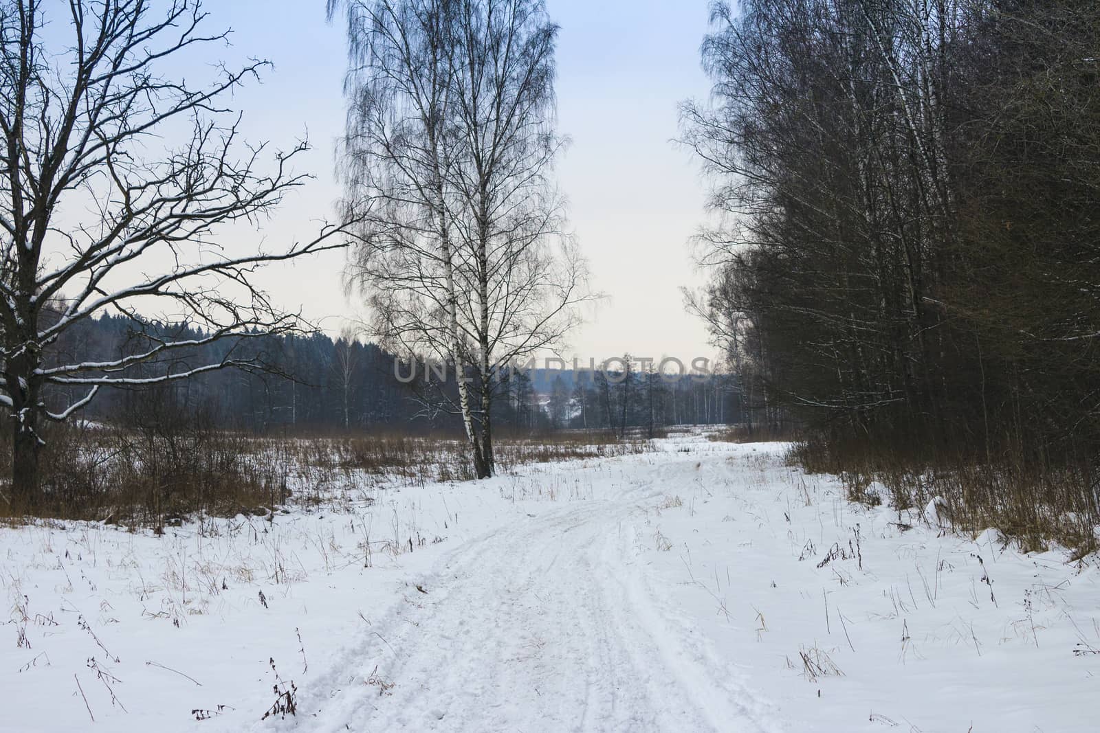 Winter road in the forest. Traces of cars in the snow. Sunset.
