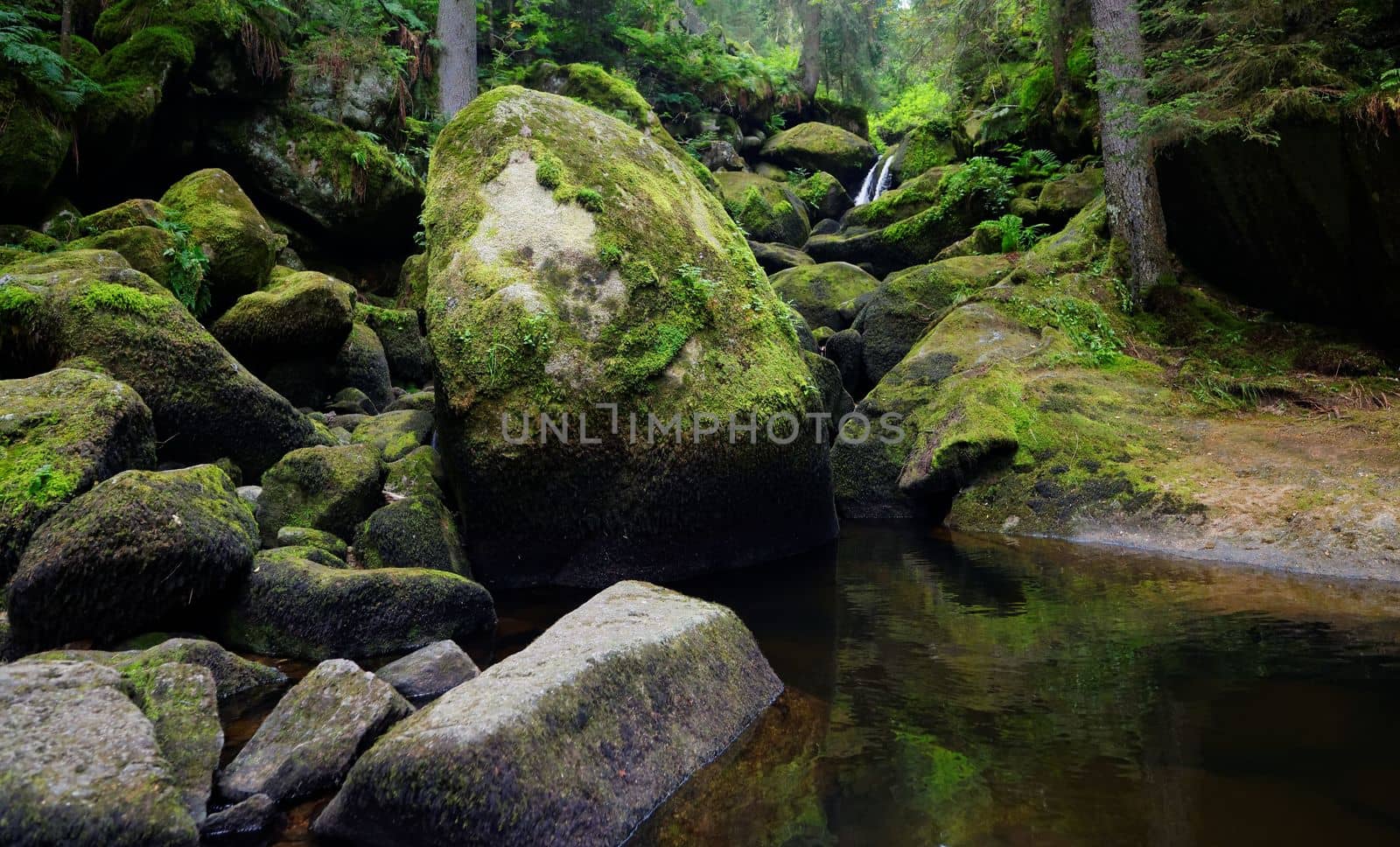 Moss and lichen covered boulders in Triberg waterfall in Germany by slavapolo