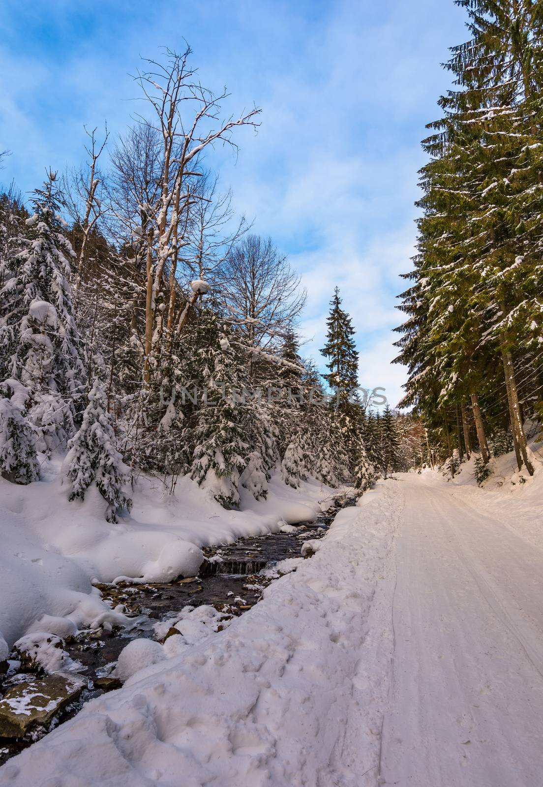 snow covered road along the path through forest by Pellinni