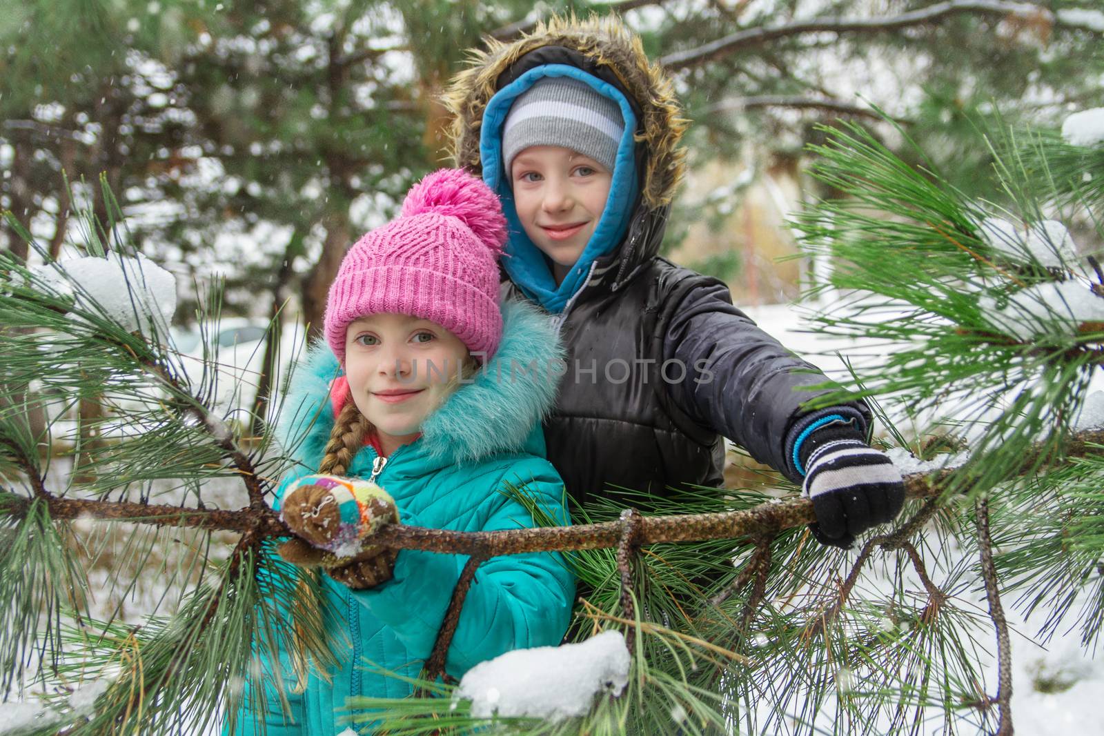 Sister and brother looking through snowy pin branches