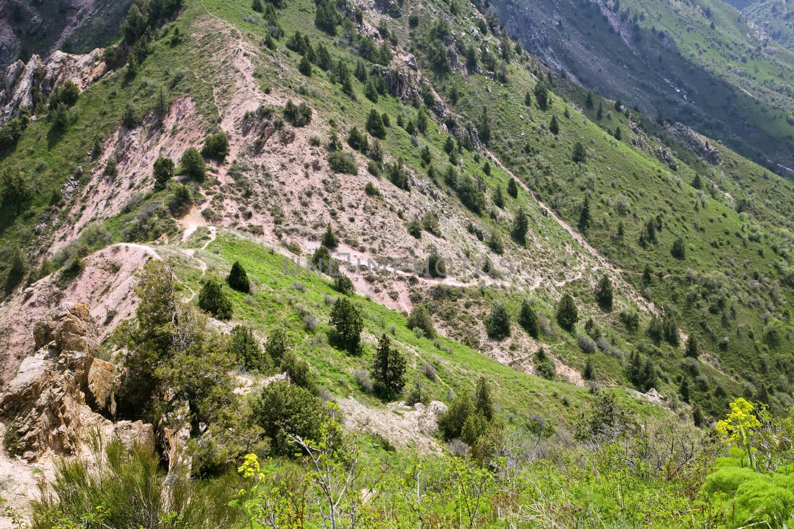 Slope of a mountain in Chimgan, Uzbekistan