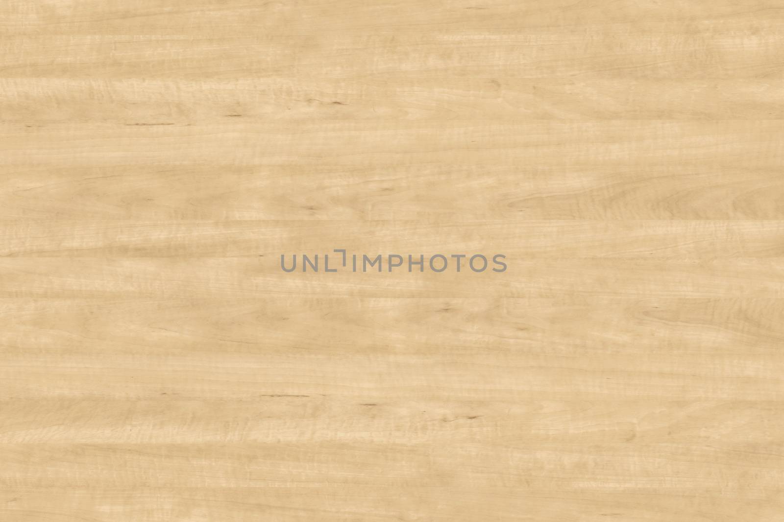 wood texture with natural pattern by ivo_13