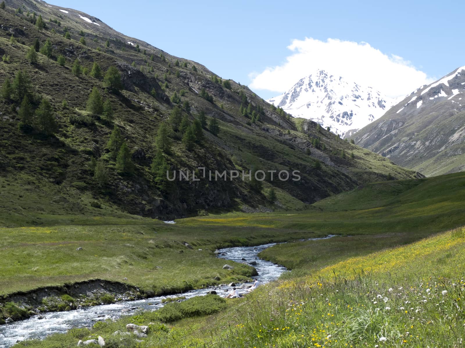 Italy, Lombardy, Trepalle, Vallaccia Valley, alpine mountain lan by struki