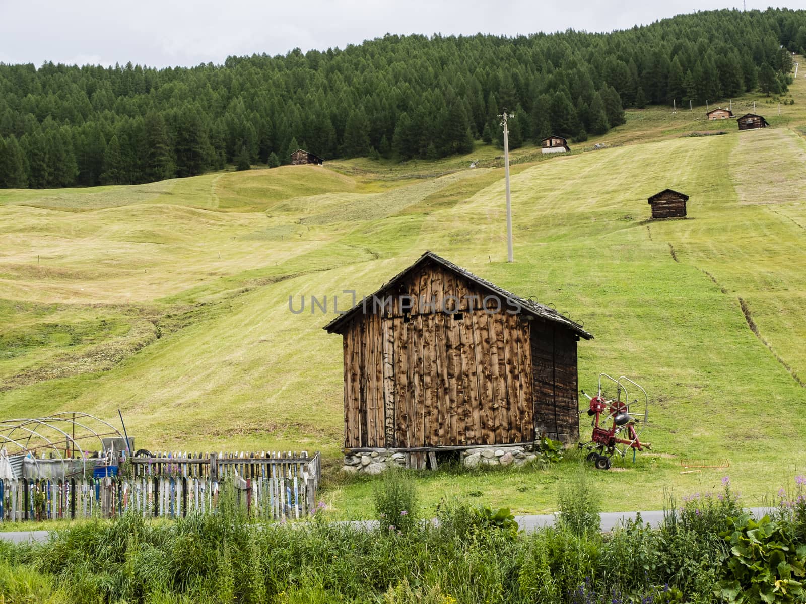Italy, Lombardy, Livigno, alpine mountain landscape in summer with flowery meadows and with wooden huts, traditional alpine constructions