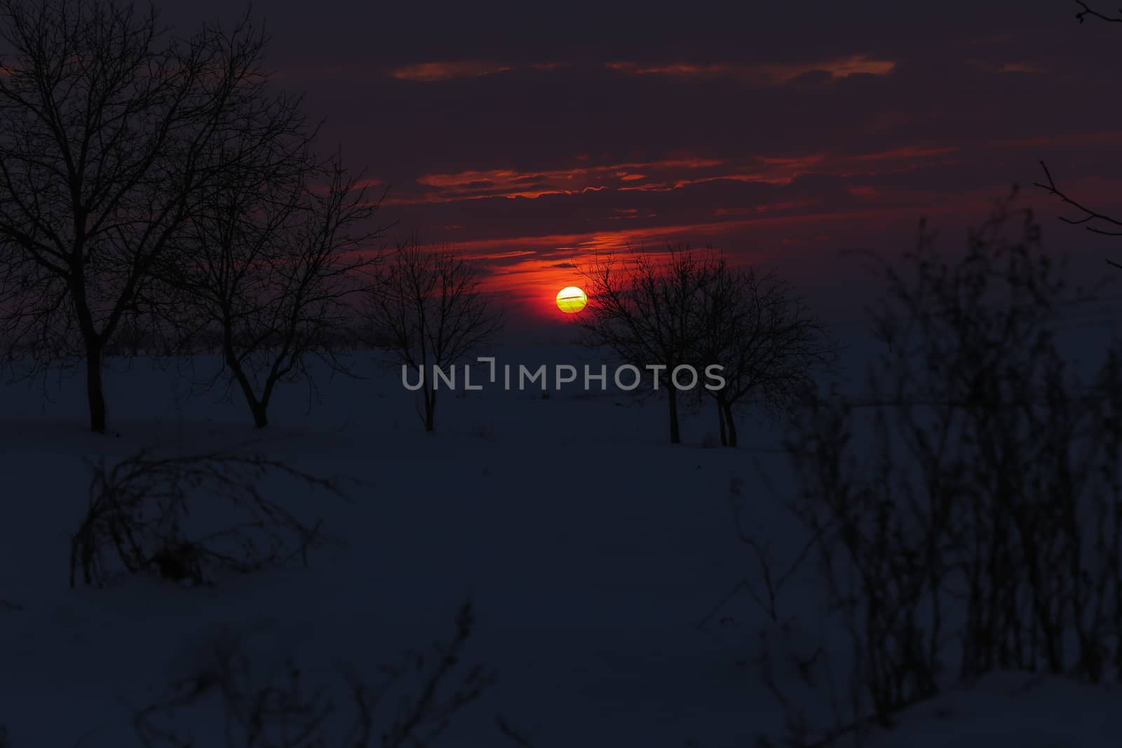 Amazing golden sunset