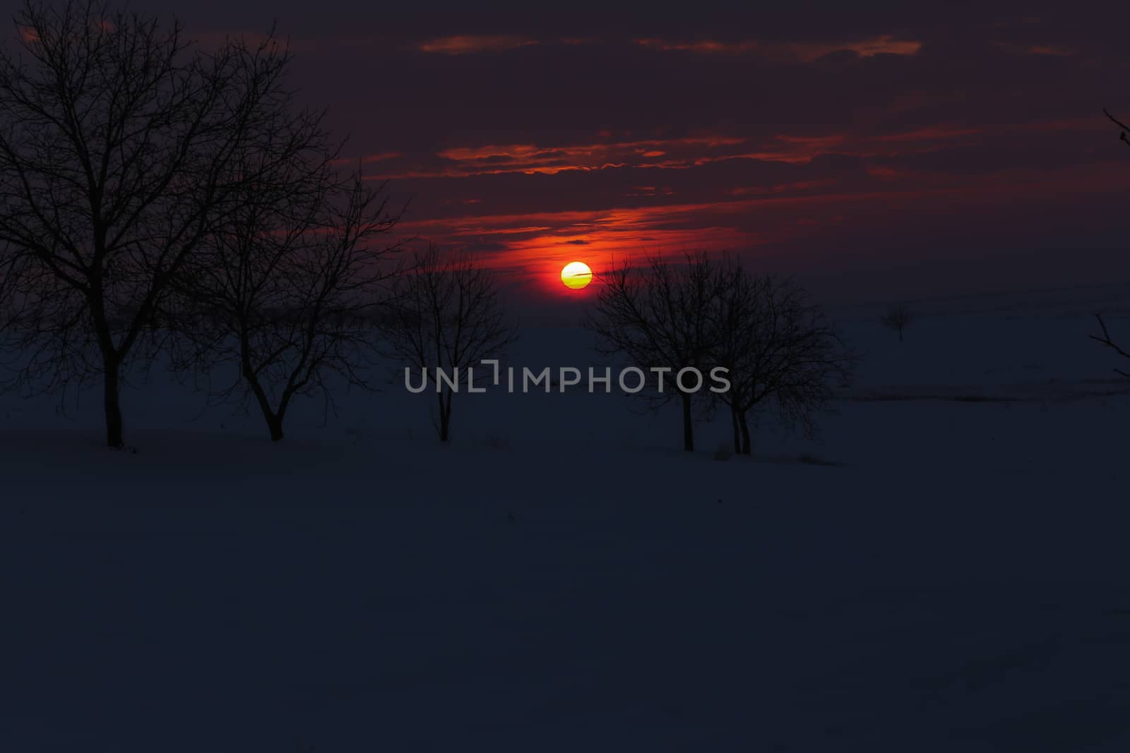 Amazing golden sunset