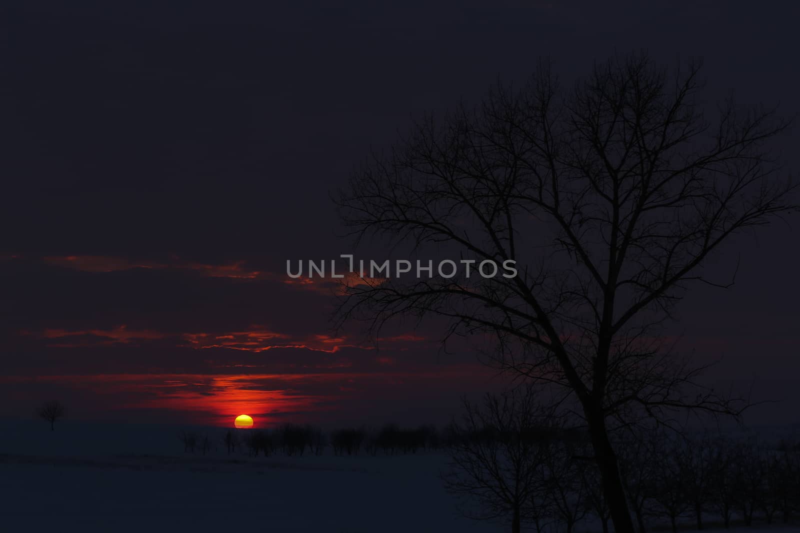 Amazing golden sunset