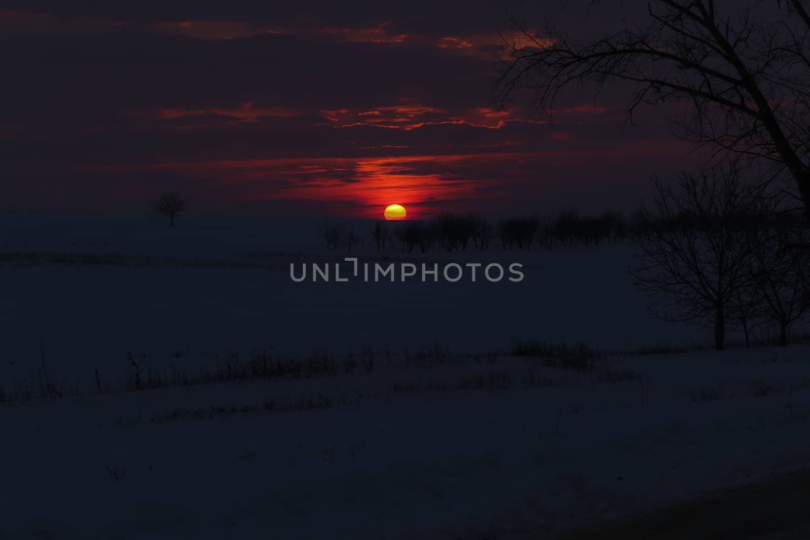 Amazing golden sunset