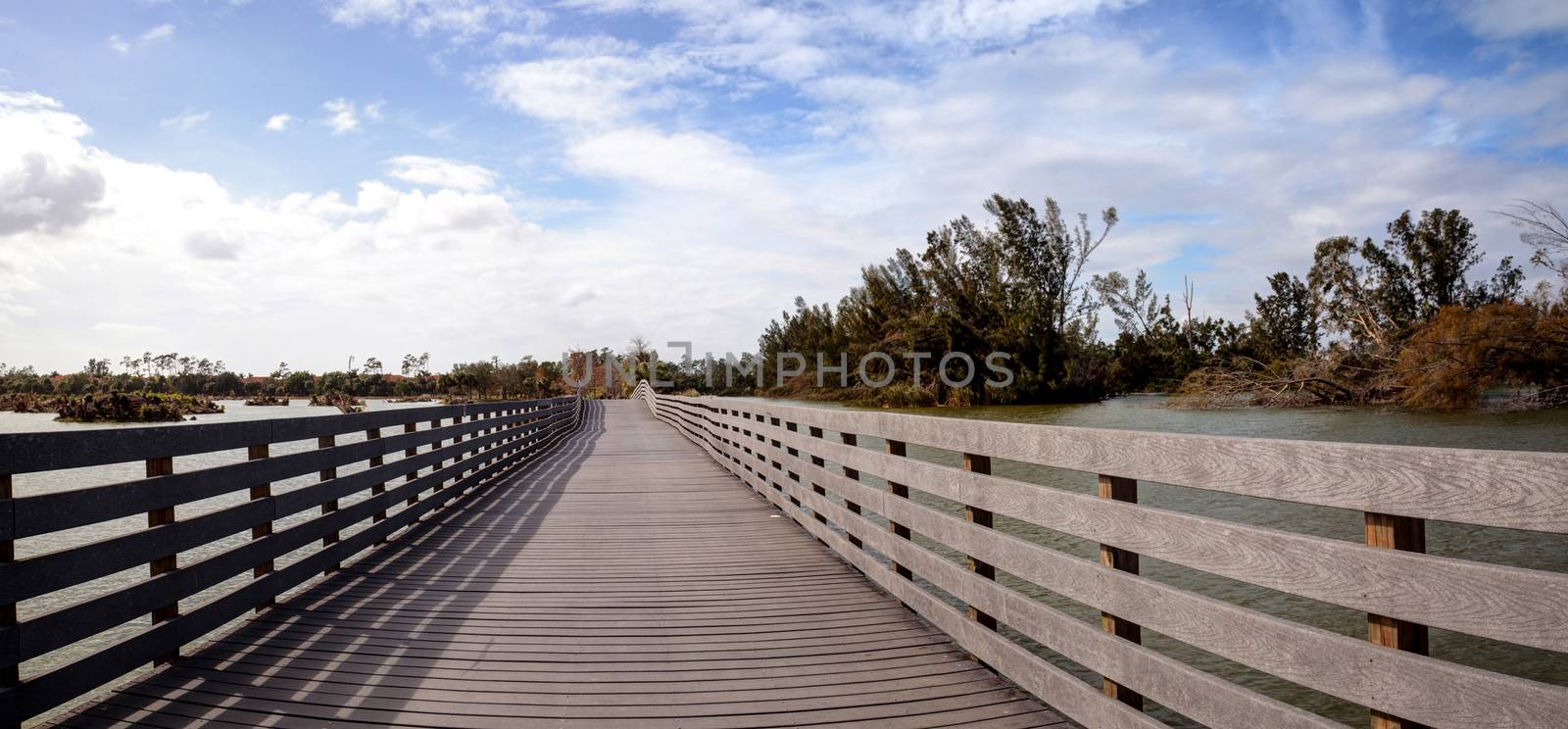 Boardwalk goes through the swamp at Lakes Park in Fort Myers, Florida and displays the damage done by hurricane Irma with uprooted trees.