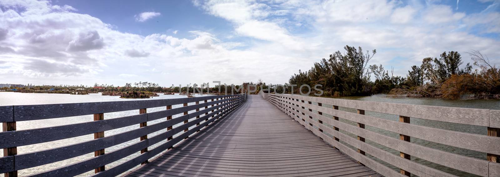 Boardwalk goes through the swamp at Lakes Park in Fort Myers, Florida and displays the damage done by hurricane Irma with uprooted trees.