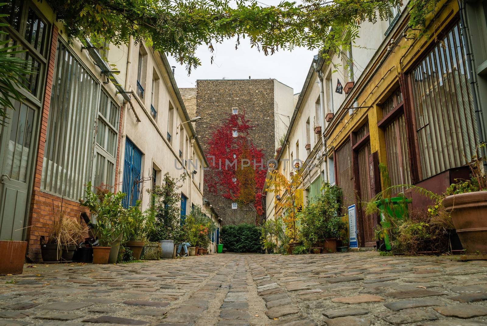 The Figuier street with its vegetation in Paris 11th district