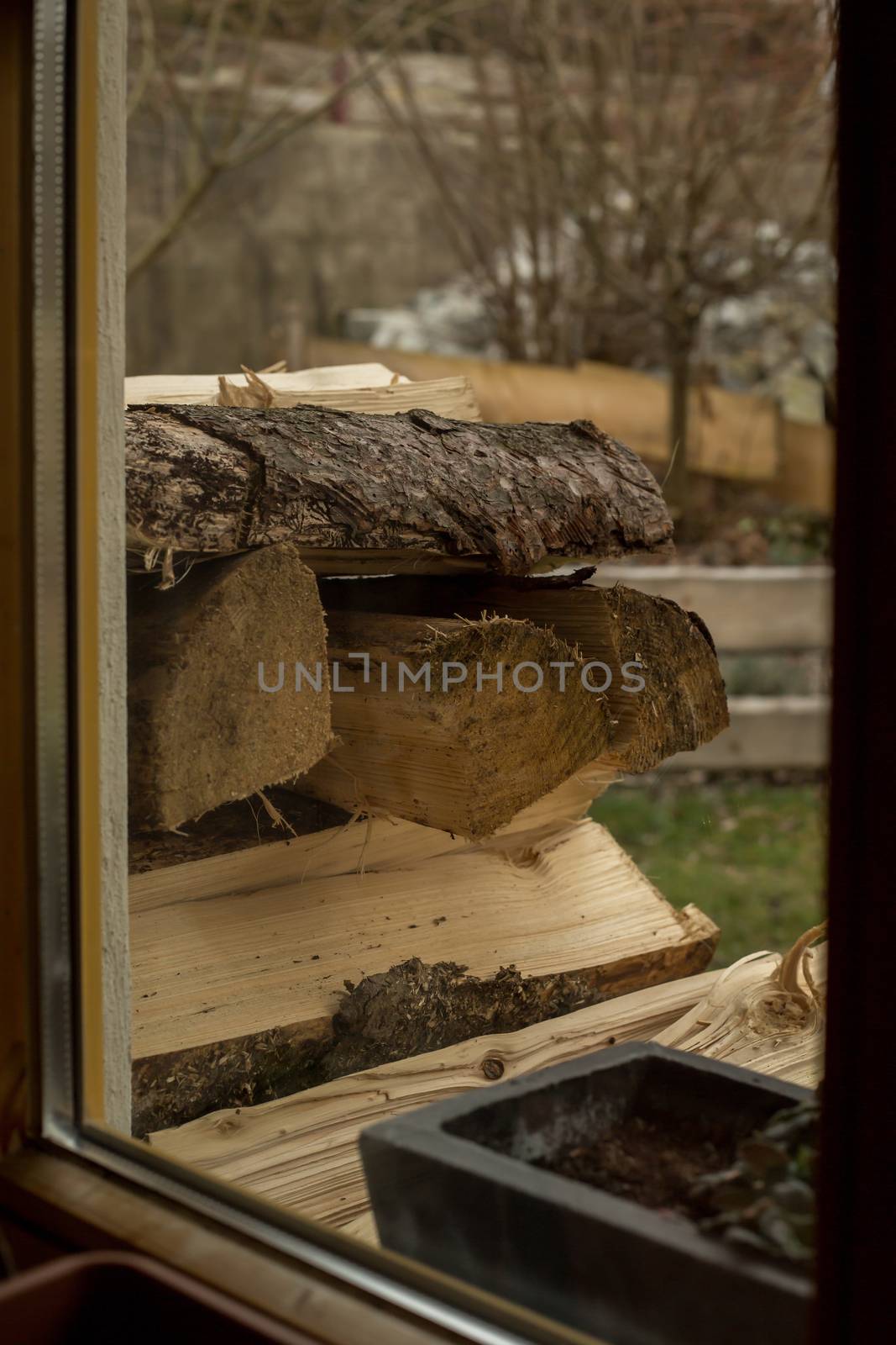 View from the windows to the garden by sandra_fotodesign