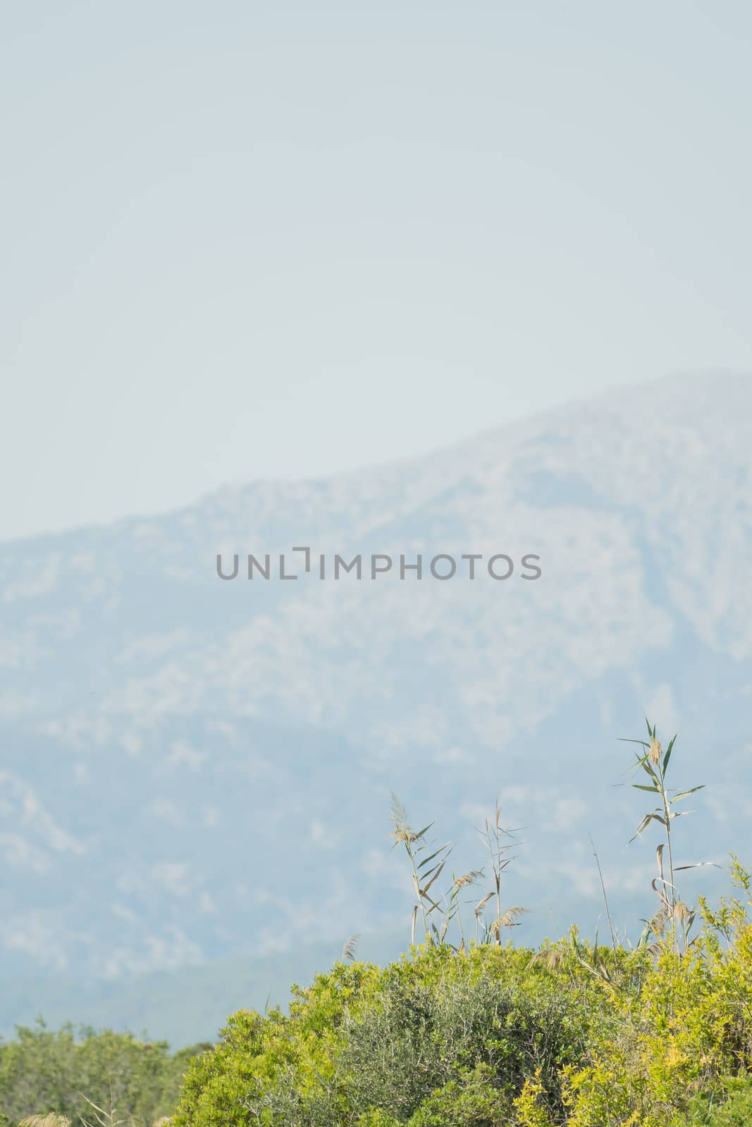 Grass in the foreground, sky and mountains in the background, vertical format