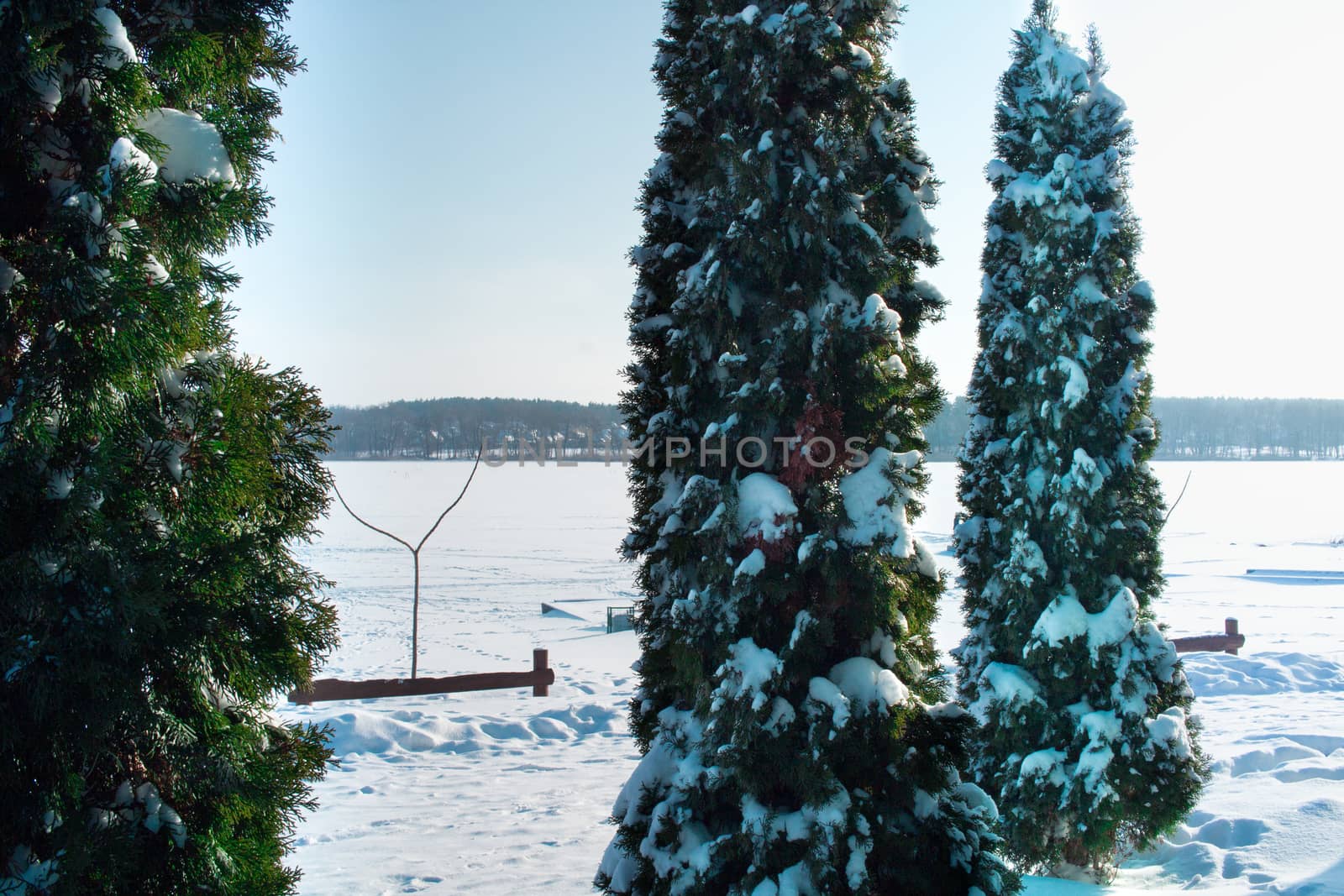 Winter snowee landscape of frozen lake covered with snow and ice