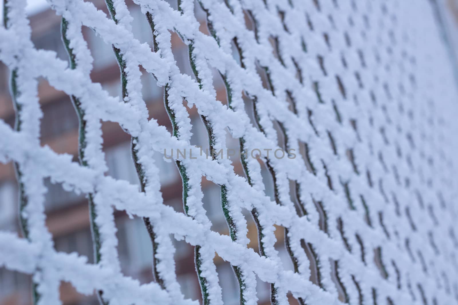 Frozen metal iron net chequer grid covered with frost in winter close-up