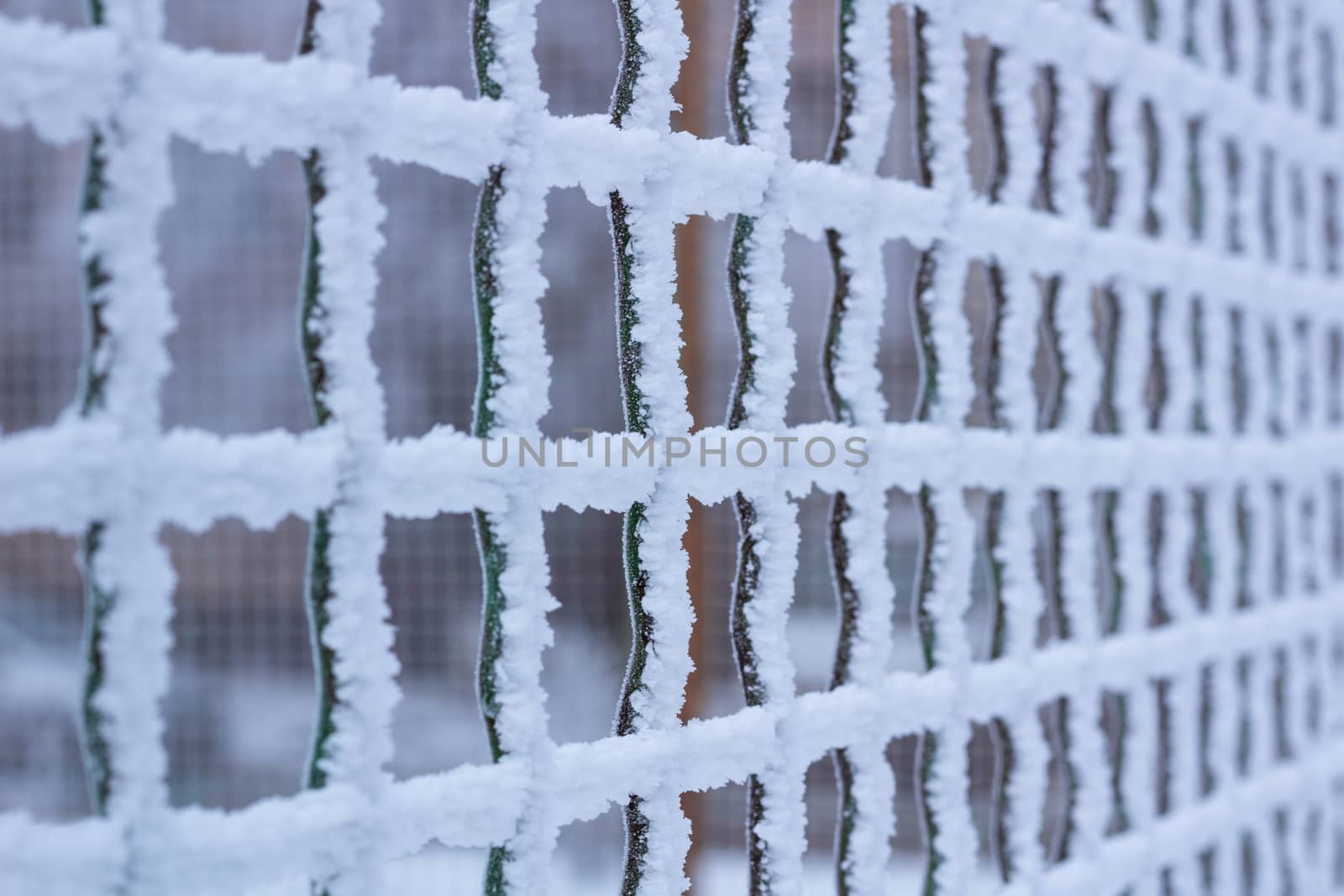 Frozen metal iron net chequer grid covered with frost in winter close-up