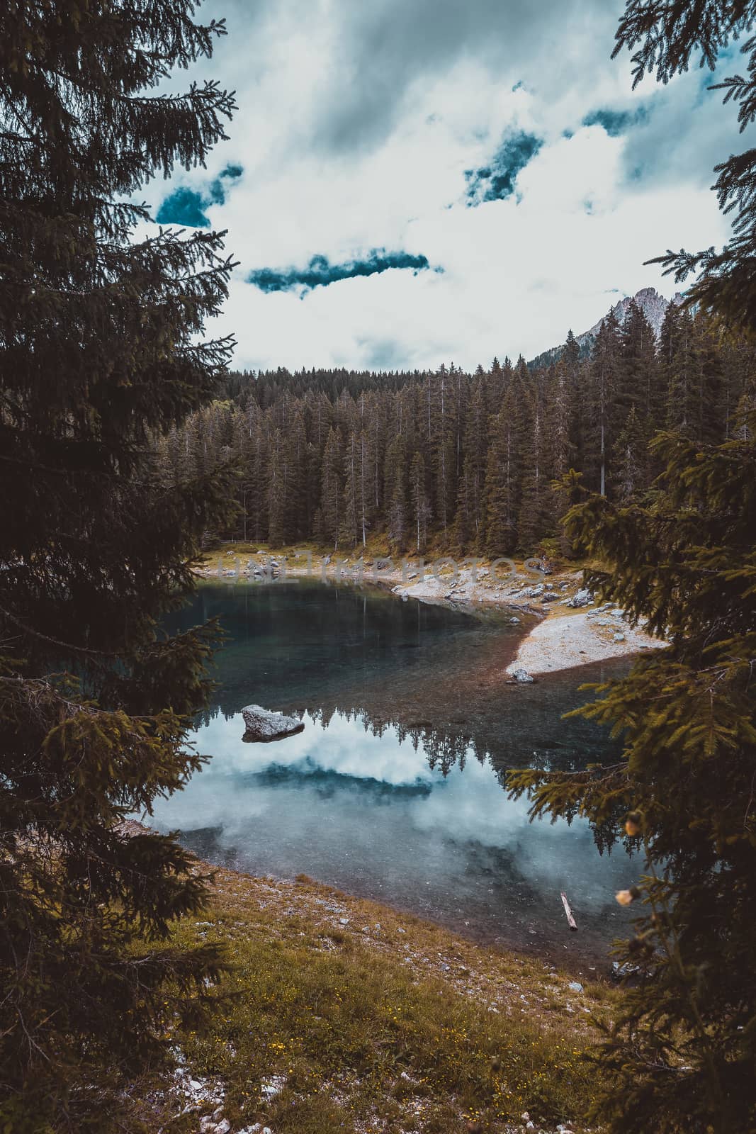 landscape the wild nature lake Misurina in the Alps