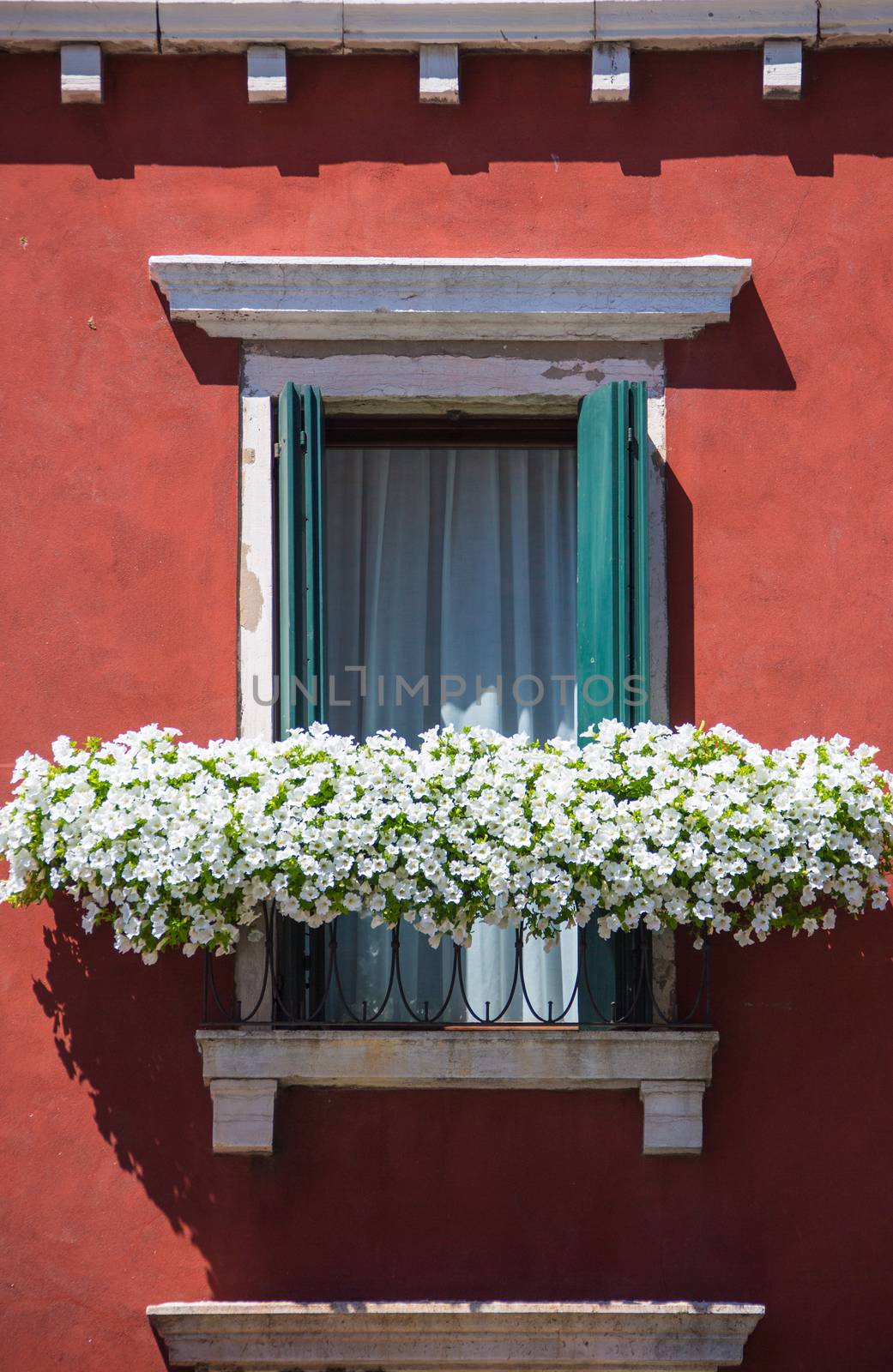 old window in the house with flowers