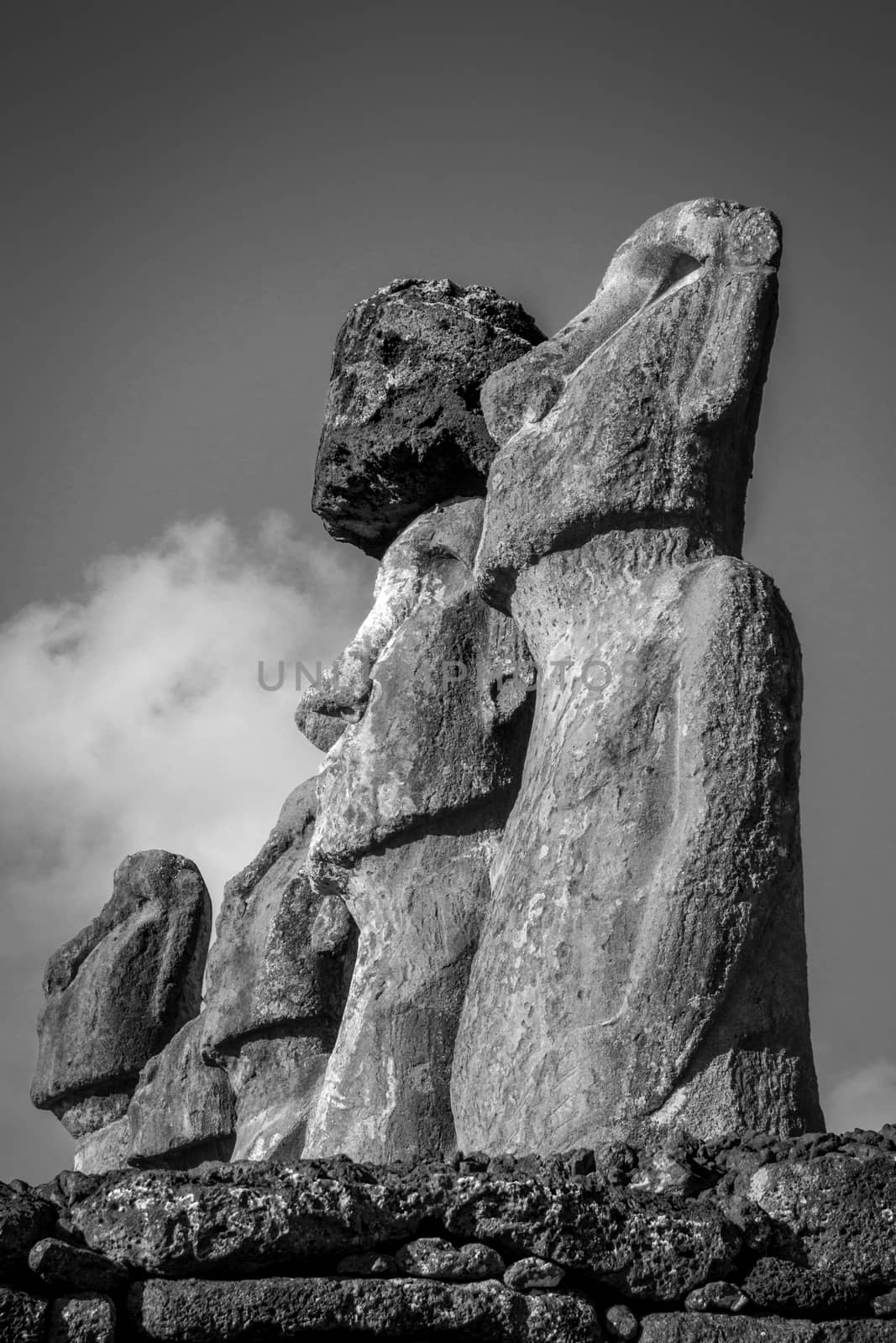 Moais statues, ahu Tongariki, easter island. Black and white pic by daboost