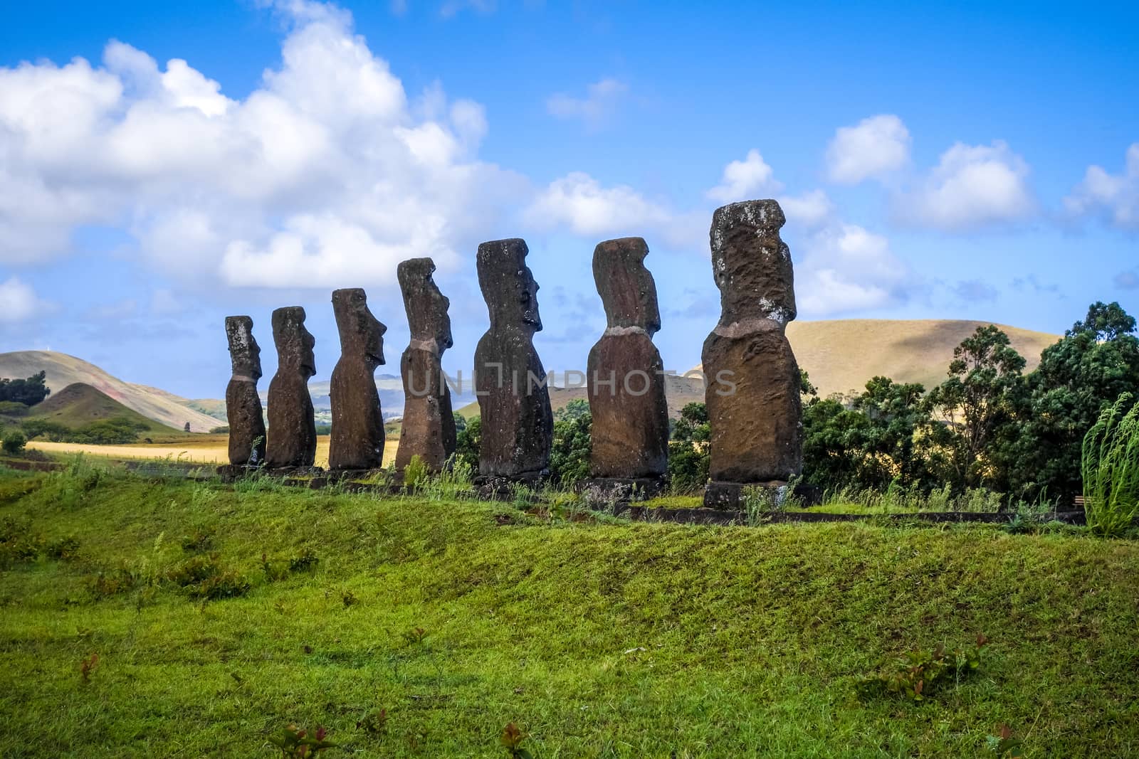 Moais statues, ahu Akivi, easter island, Chile