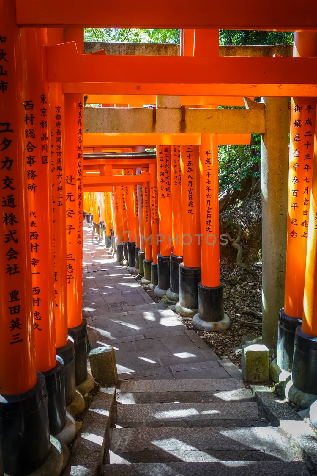Fushimi Inari Taisha torii, Kyoto, Japan by daboost