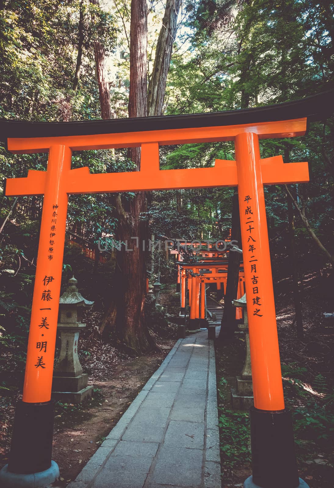 Fushimi Inari Taisha torii shrine, Kyoto, Japan