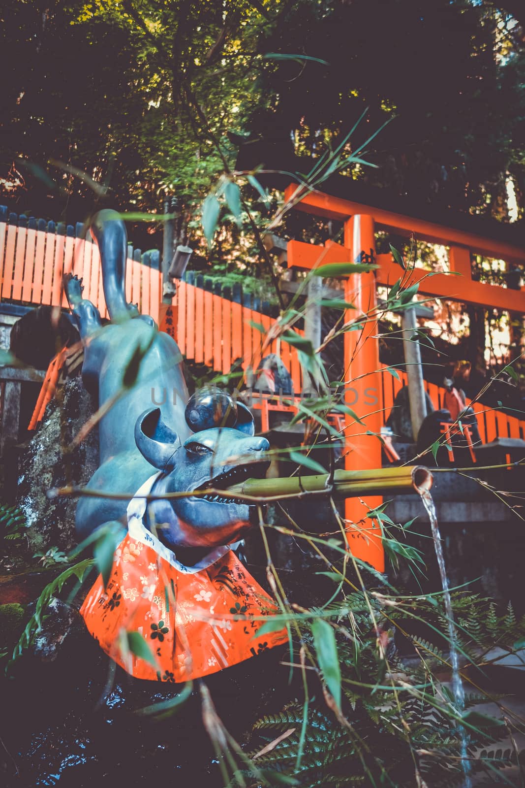 Fox purification fountain at Fushimi Inari Taisha, Kyoto, Japan by daboost