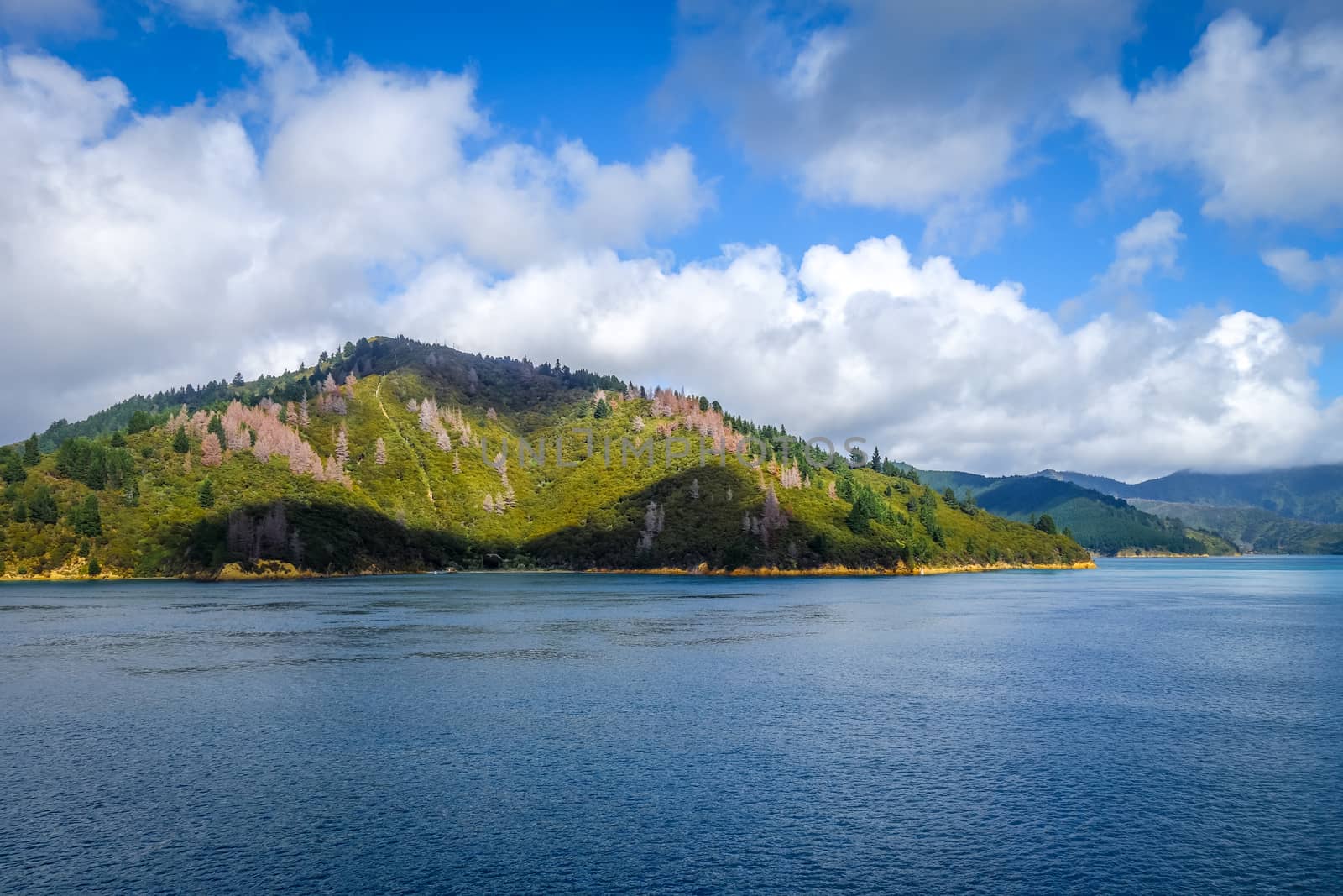 Marlborough Sounds, New Zealand by daboost