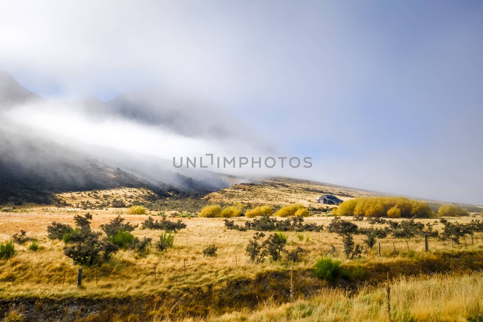 Mountain fields landscape in New Zealand by daboost