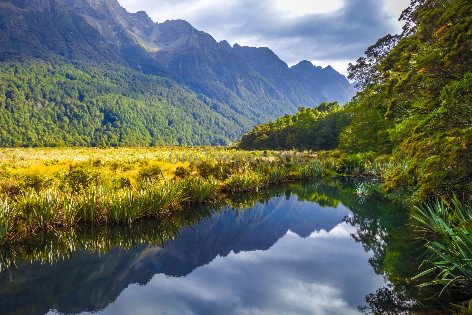 Lake in Fiordland national park, New Zealand by daboost