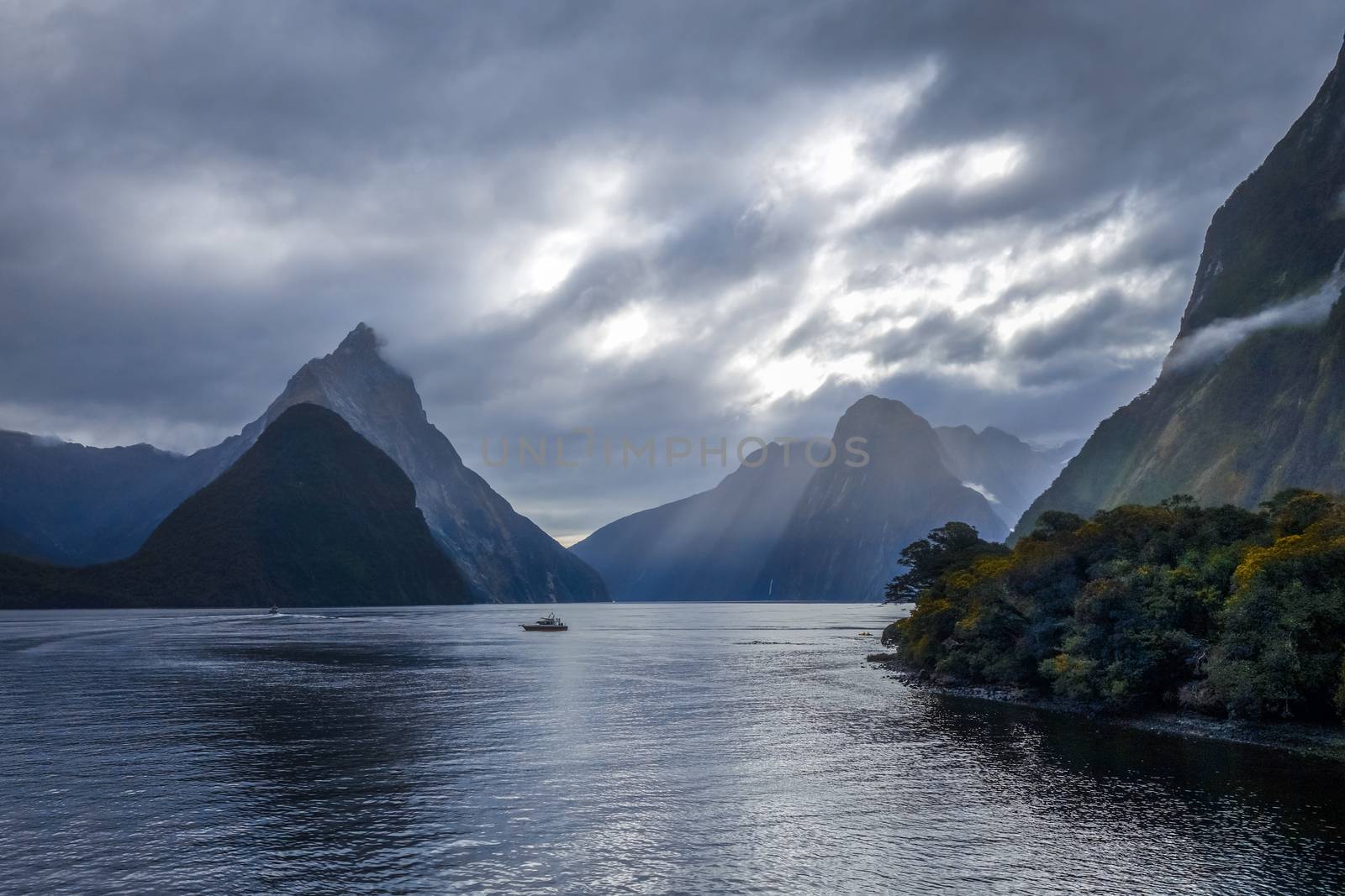 Milford Sound, fiordland national park in New Zealand