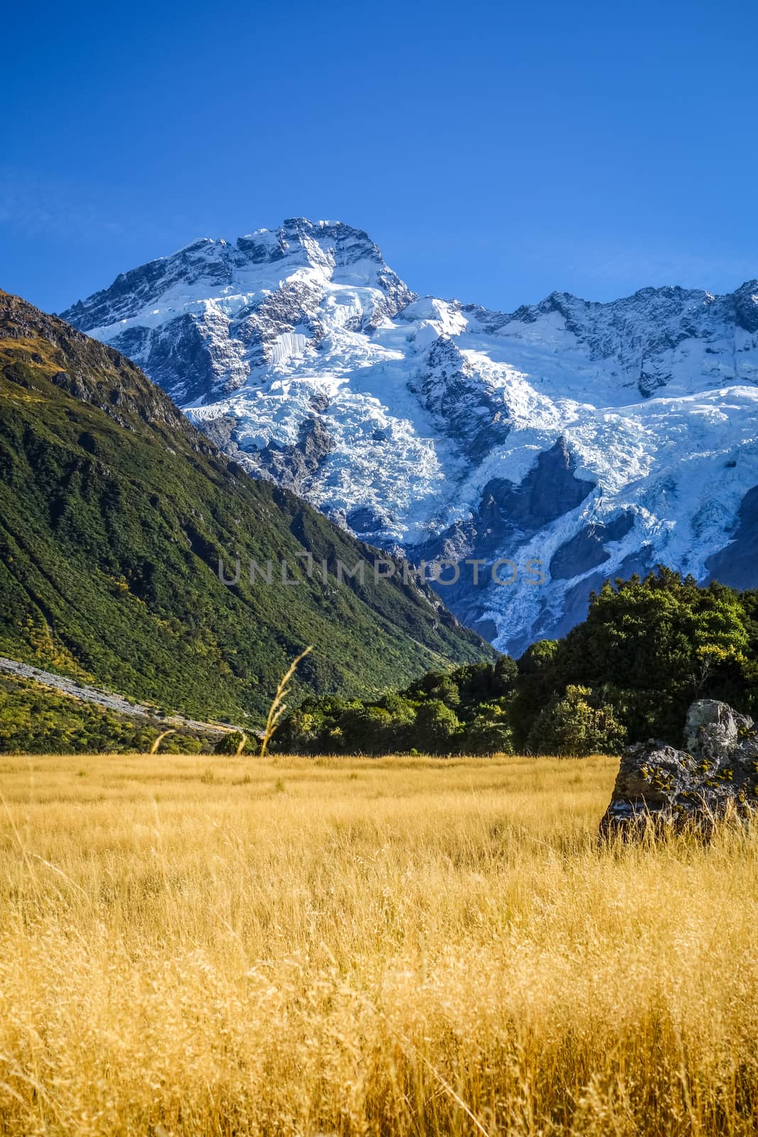 Mount Cook valley landscape, New Zealand by daboost