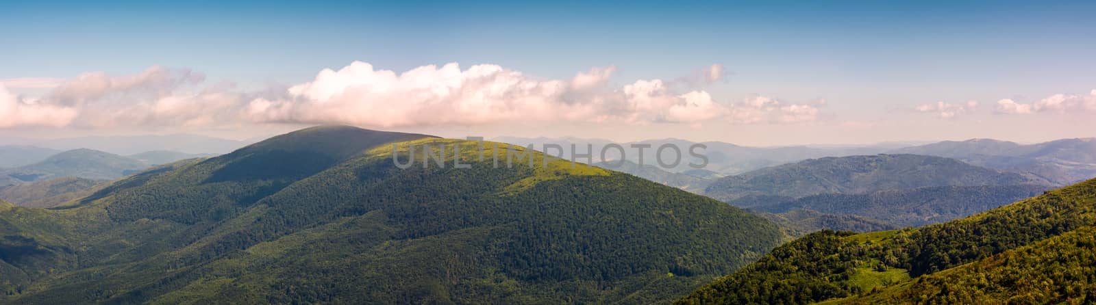 panorama of beautiful Carpathian mountains. lovely forenoon summer landscape viewed from top of a hill.