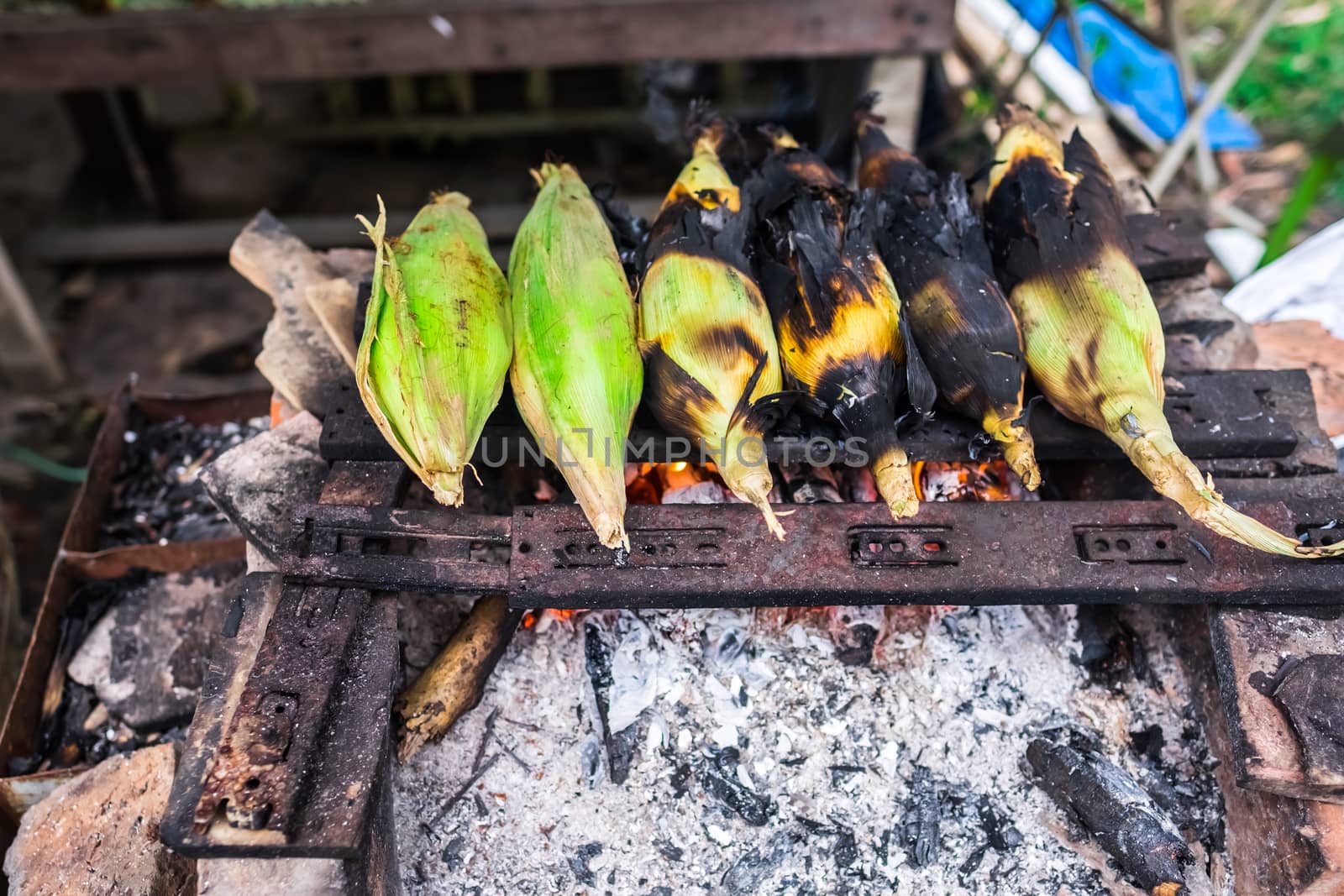 Grilled or Barbecue Corns Sold in Roadside Stall in Borneo