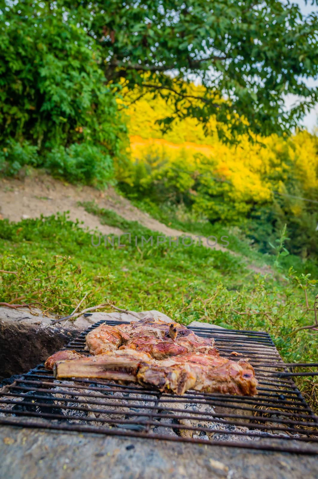 BBQ in the forest at sunset with pork ribs
