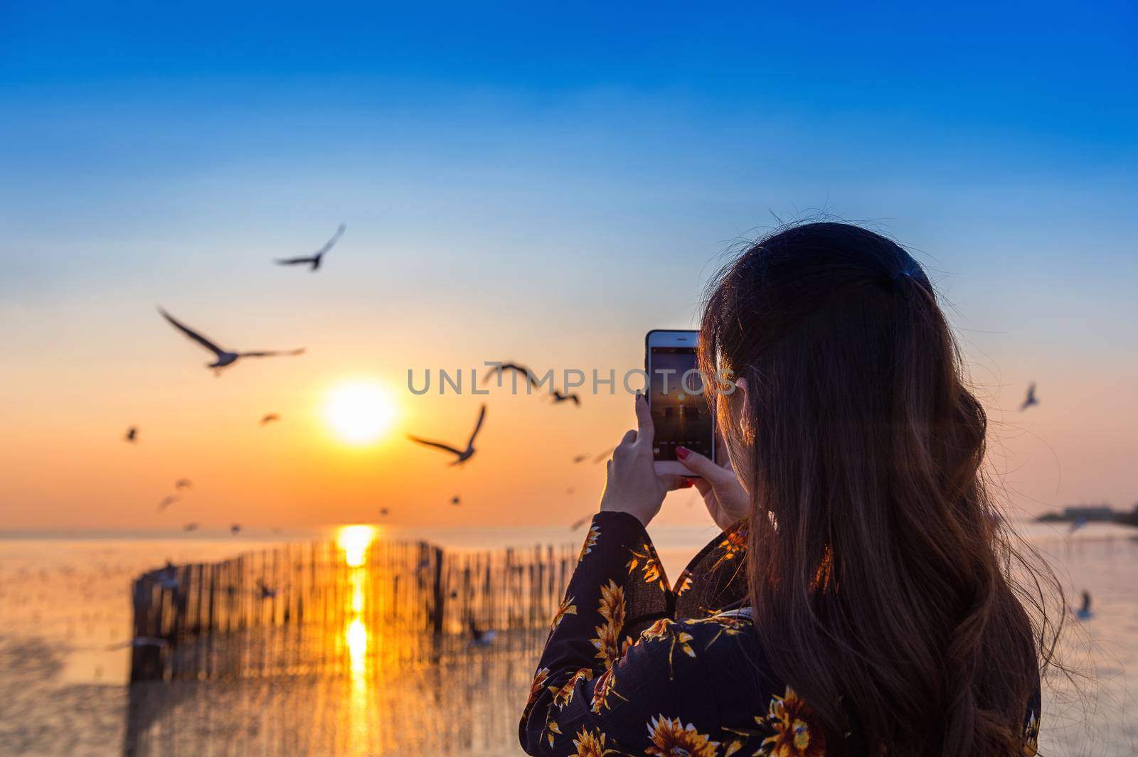 Silhoutte of birds flying and young woman taking a photo at sunset.