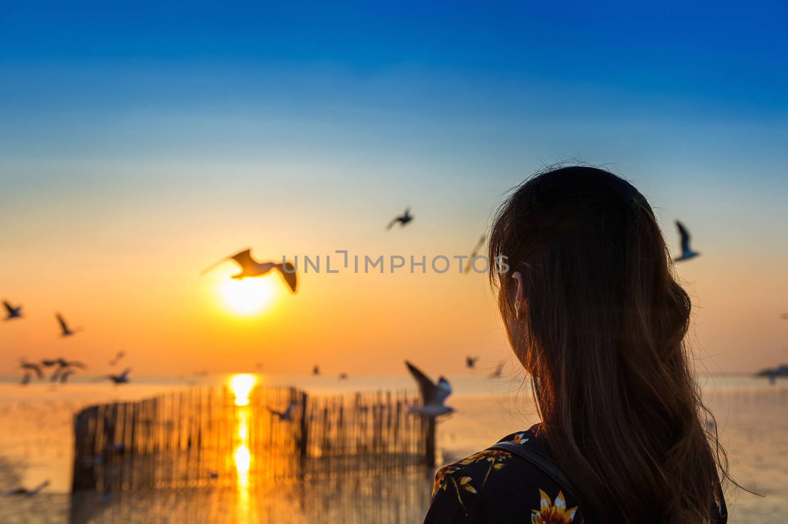 Silhoutte of birds flying and young woman at sunset.