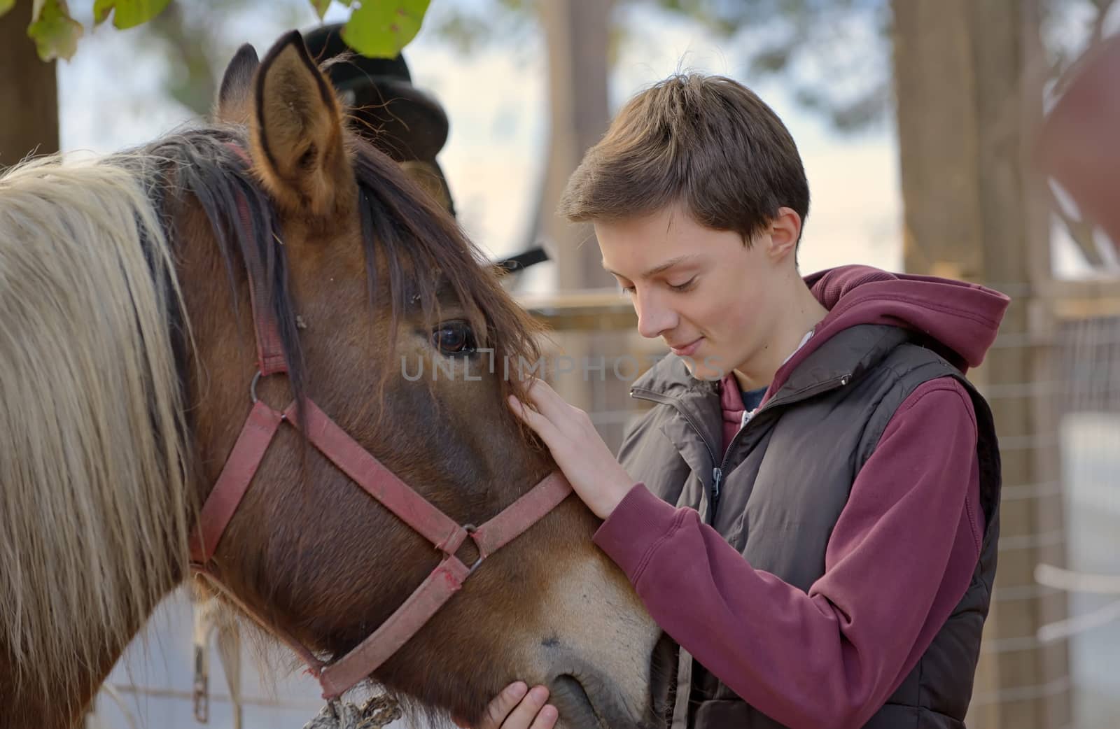 Happy teenager boy with horse by mady70