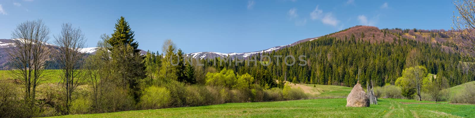 panorama of rural field in mountains by Pellinni