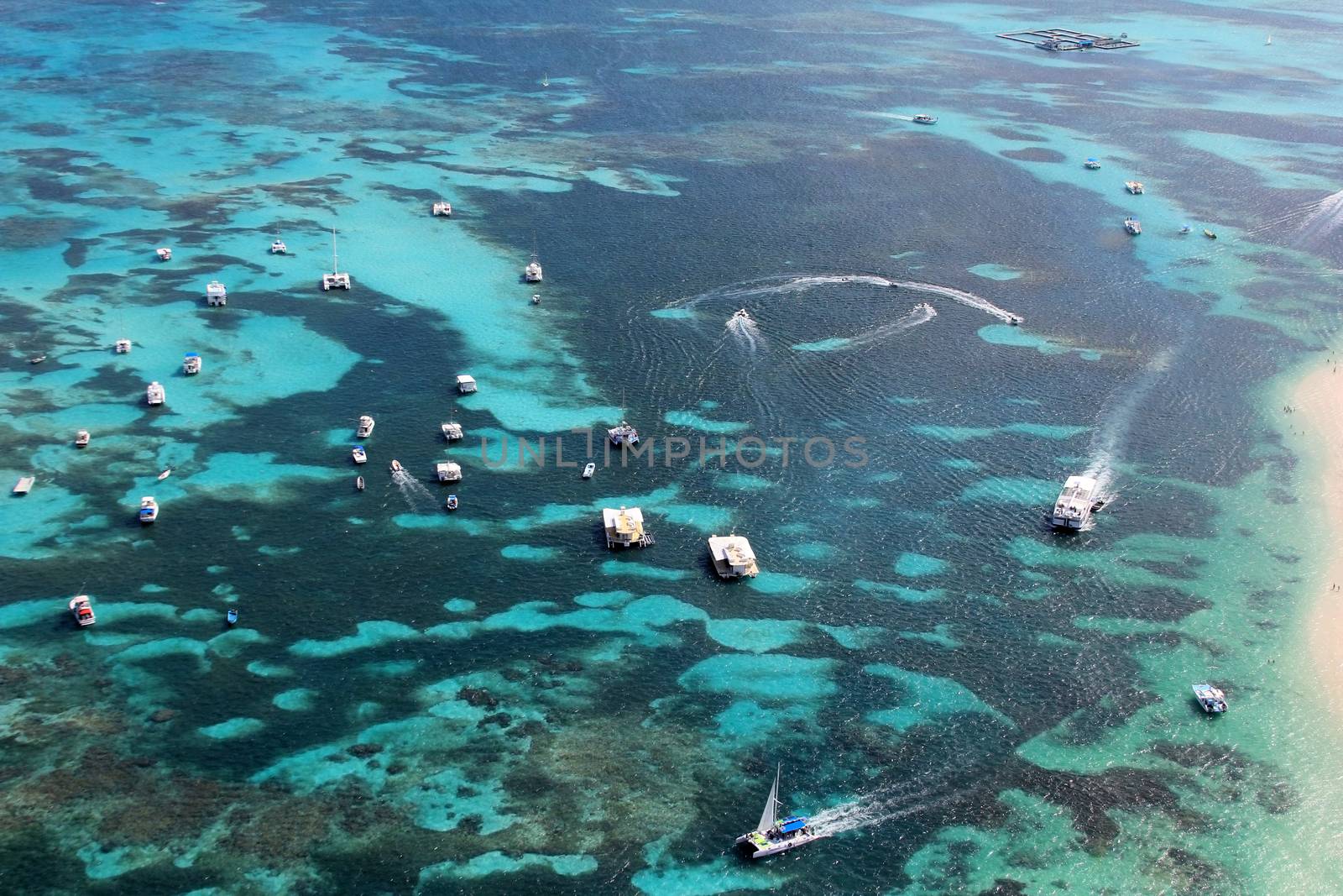 Aerial view of the reef in the ocean with boats. Dominican Republic