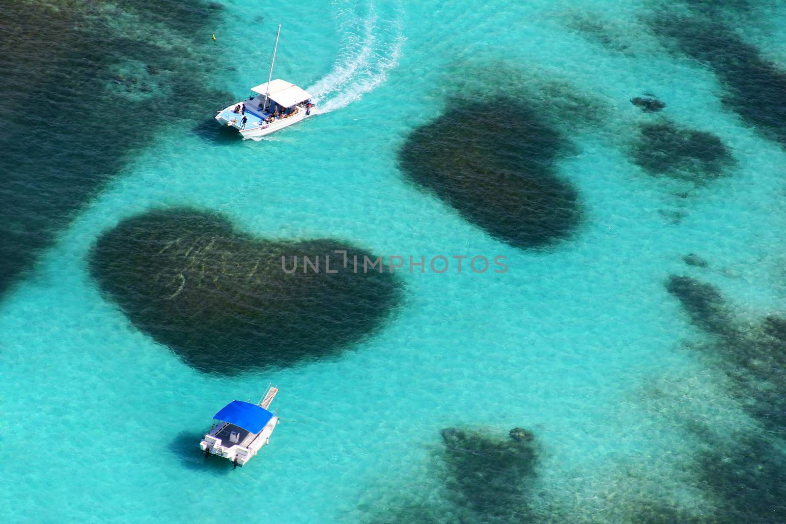 Aerial view of the Heart reef in the ocean. Dominican Republic