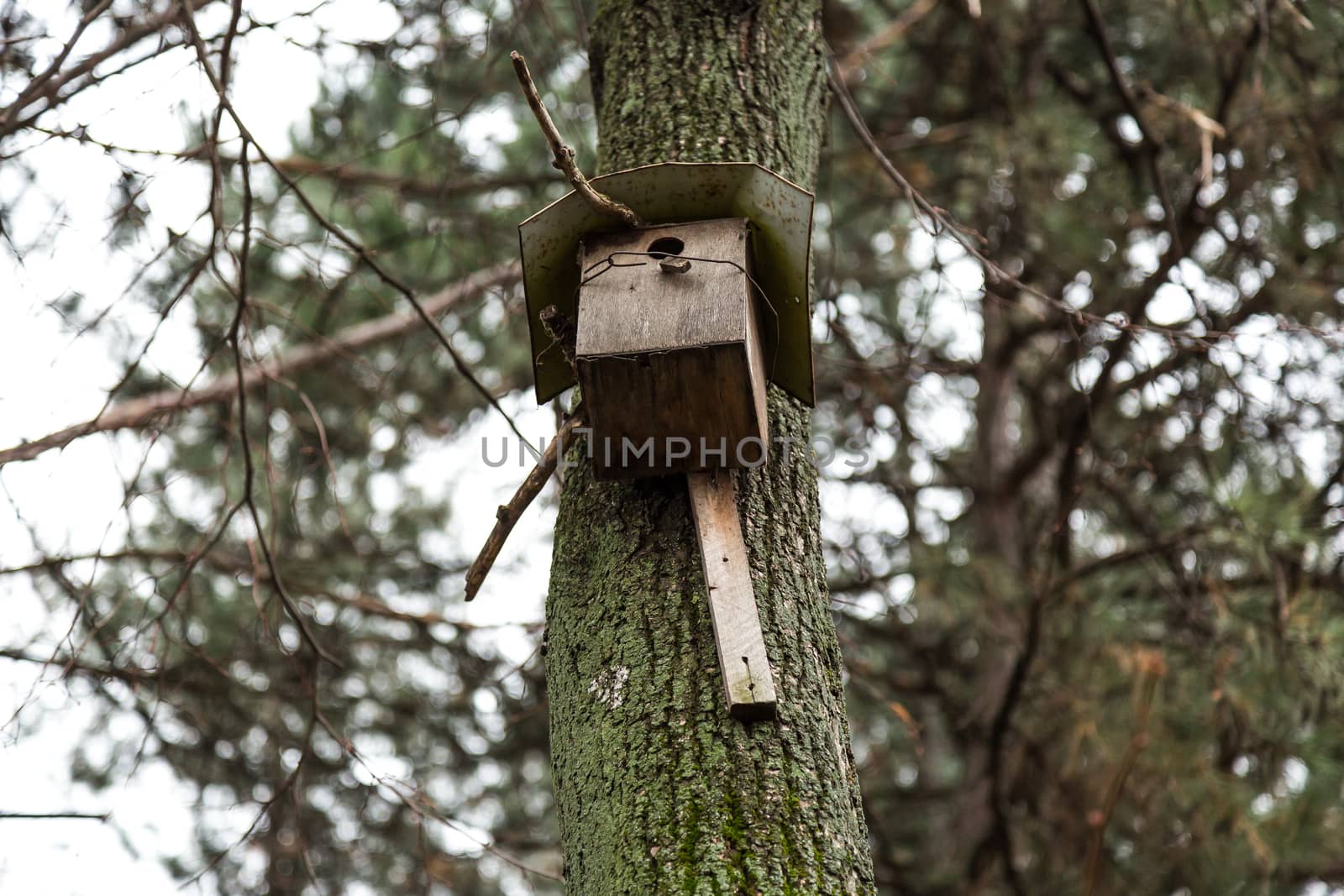 Simple birds home made it from the wood material