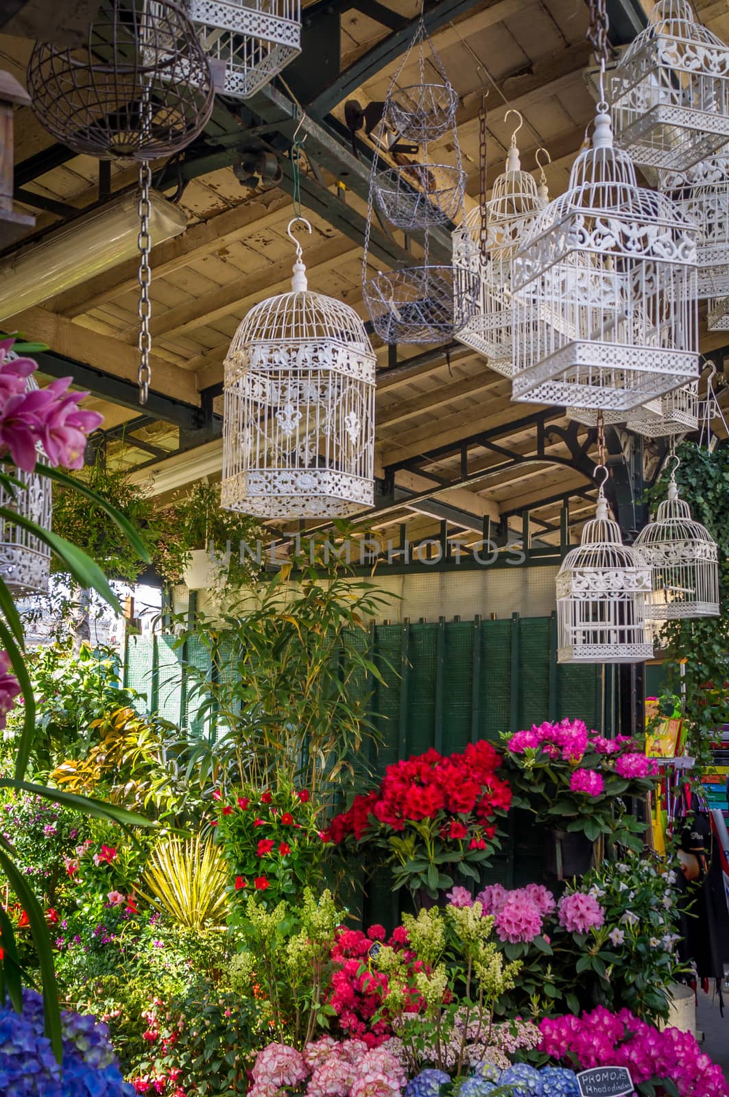 Flowers and bird cages in the marche aux fleurs in Paris