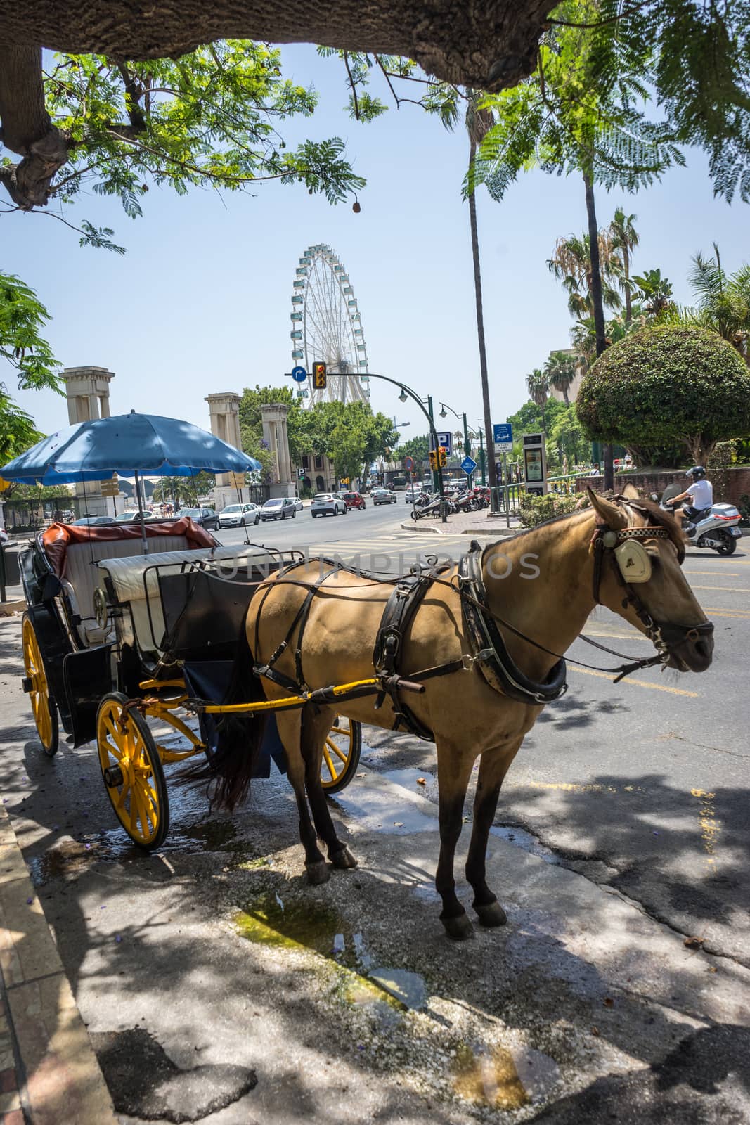 A horse drawn carriage in front of a giant wheel at Malaga, Spain, Europe on a bright summer day