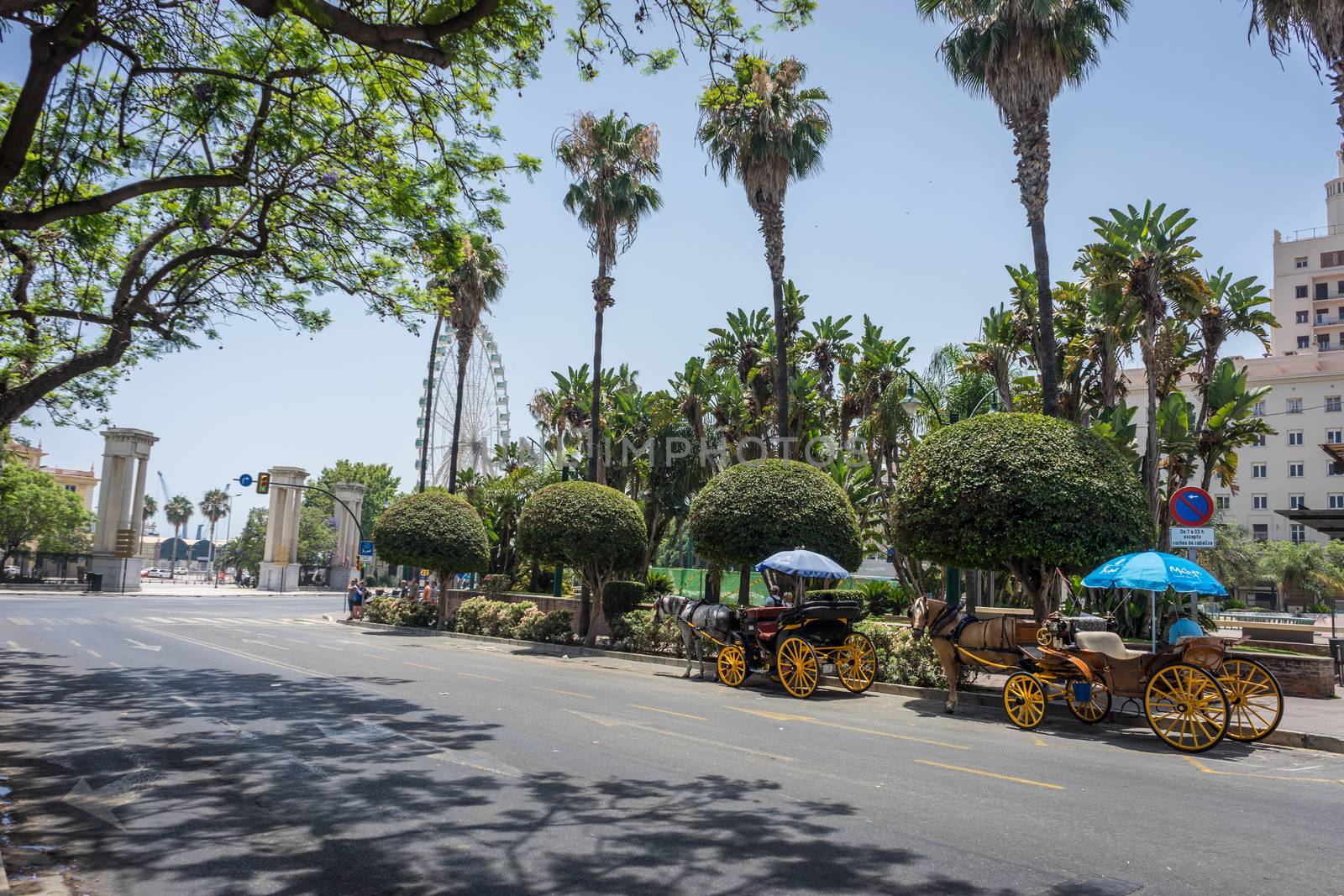 two horse drawn carriages in front of a giant wheel at Malaga, S by ramana16