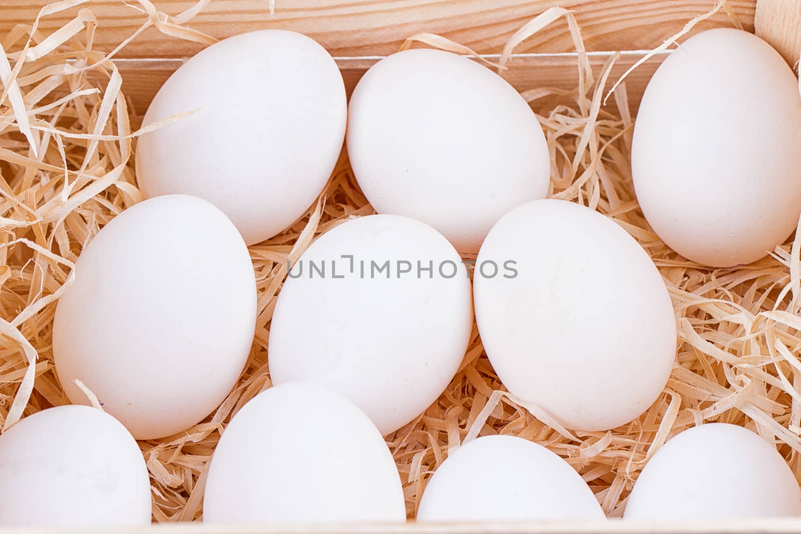 A lot of white chicken eggs in a bunch