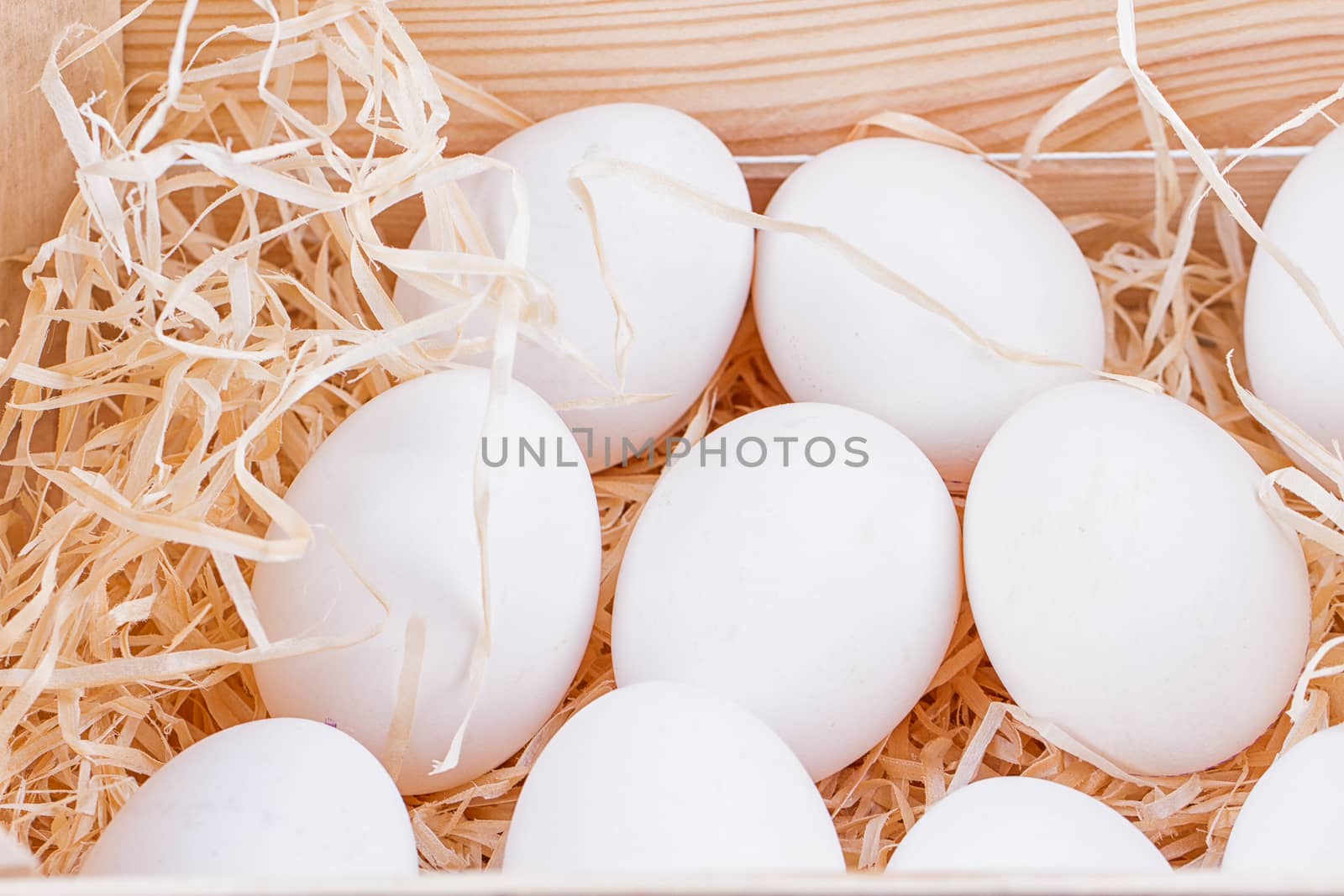 A lot of white chicken eggs in a bunch
