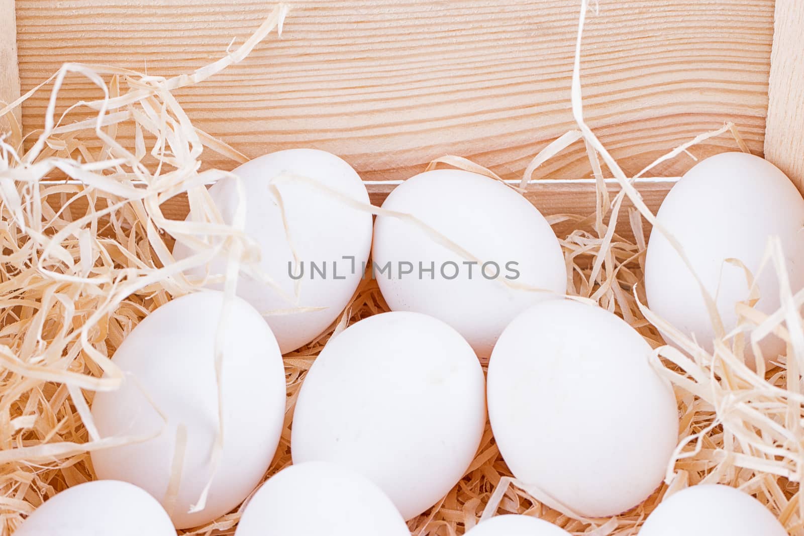 A lot of white chicken eggs in a bunch