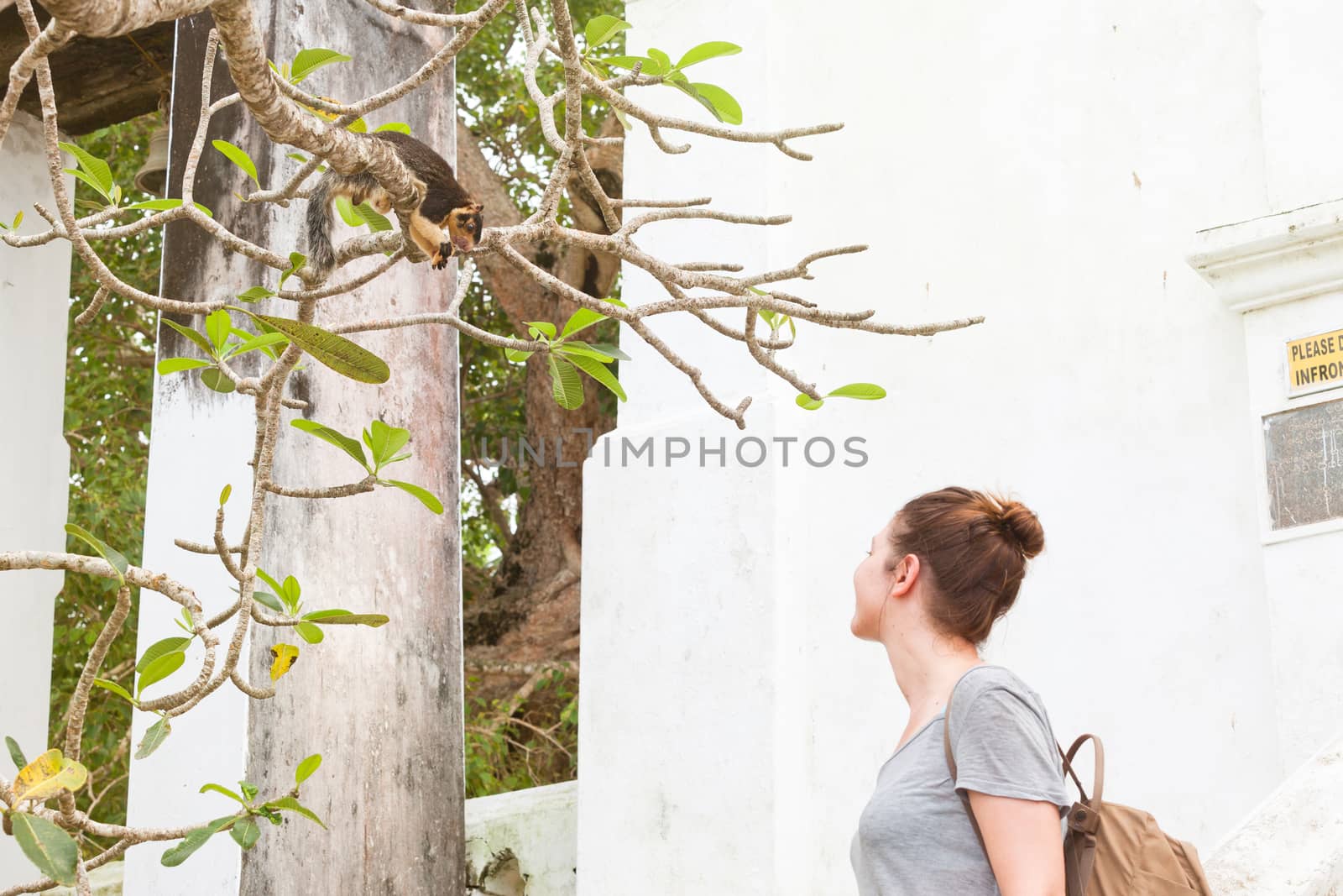 Maduganga Lake, Balapitiya, Sri Lanka - A young woman looking at an Indian Giant Squirrel