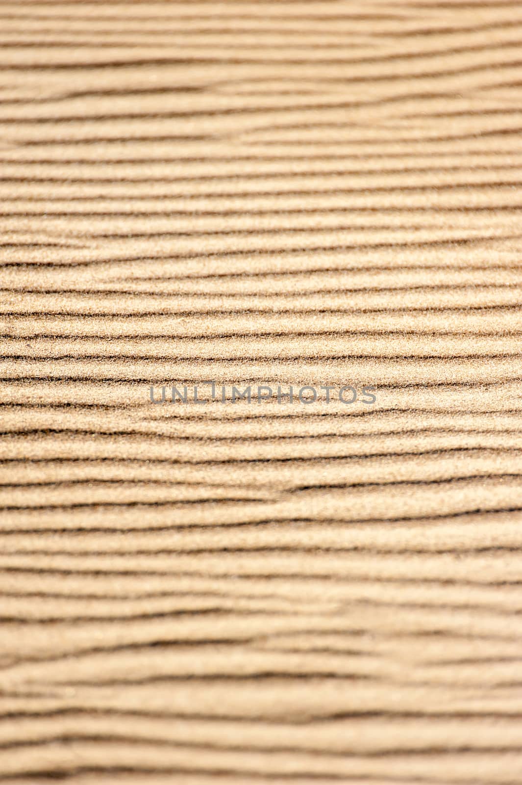 background from sand waves selective focus